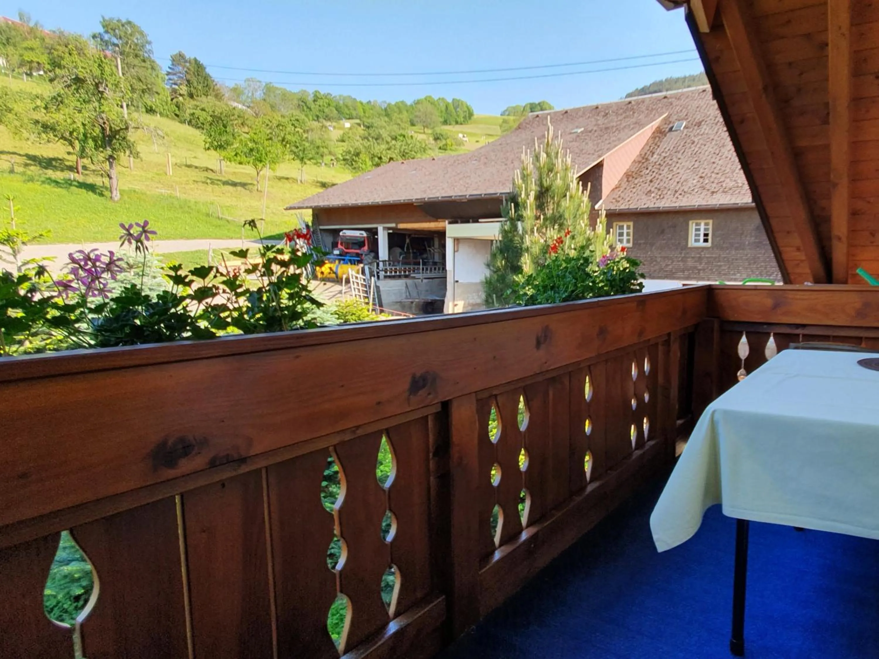 Balcony/Terrace in Ferienwohnungen Maierhof Oberried