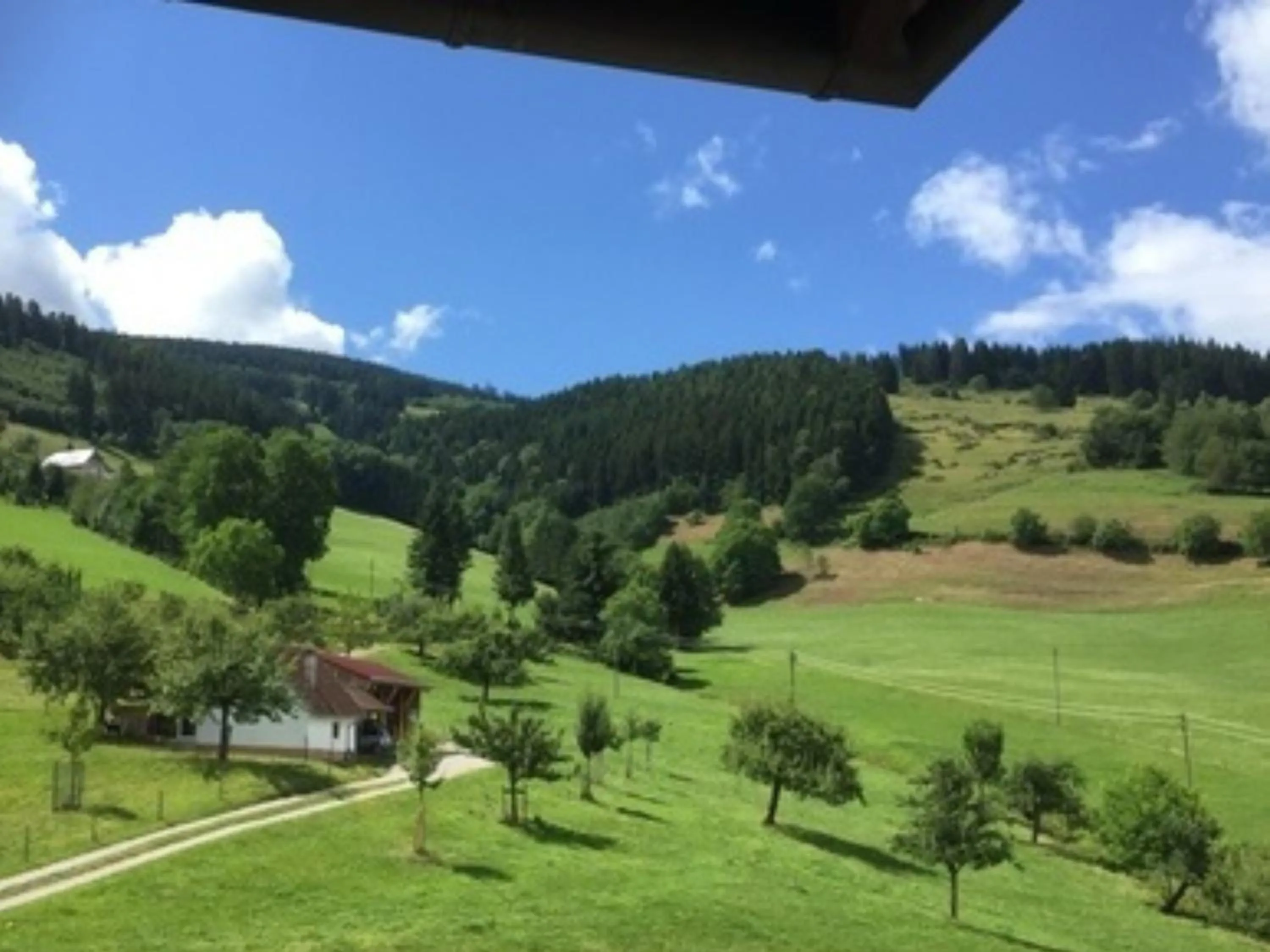 View (from property/room) in Ferienwohnungen Maierhof Oberried