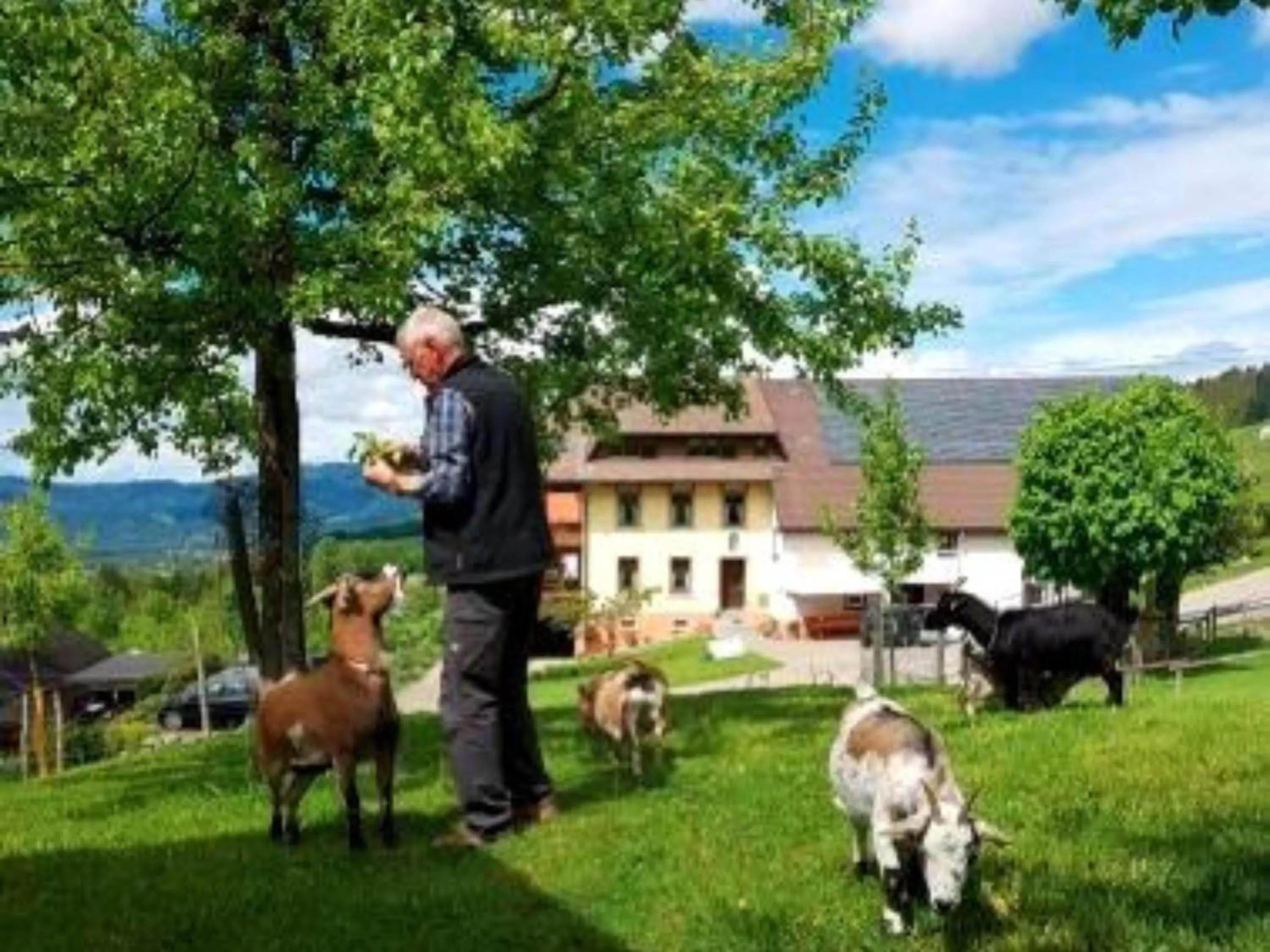 Entertainment in Ferienwohnungen Maierhof Oberried