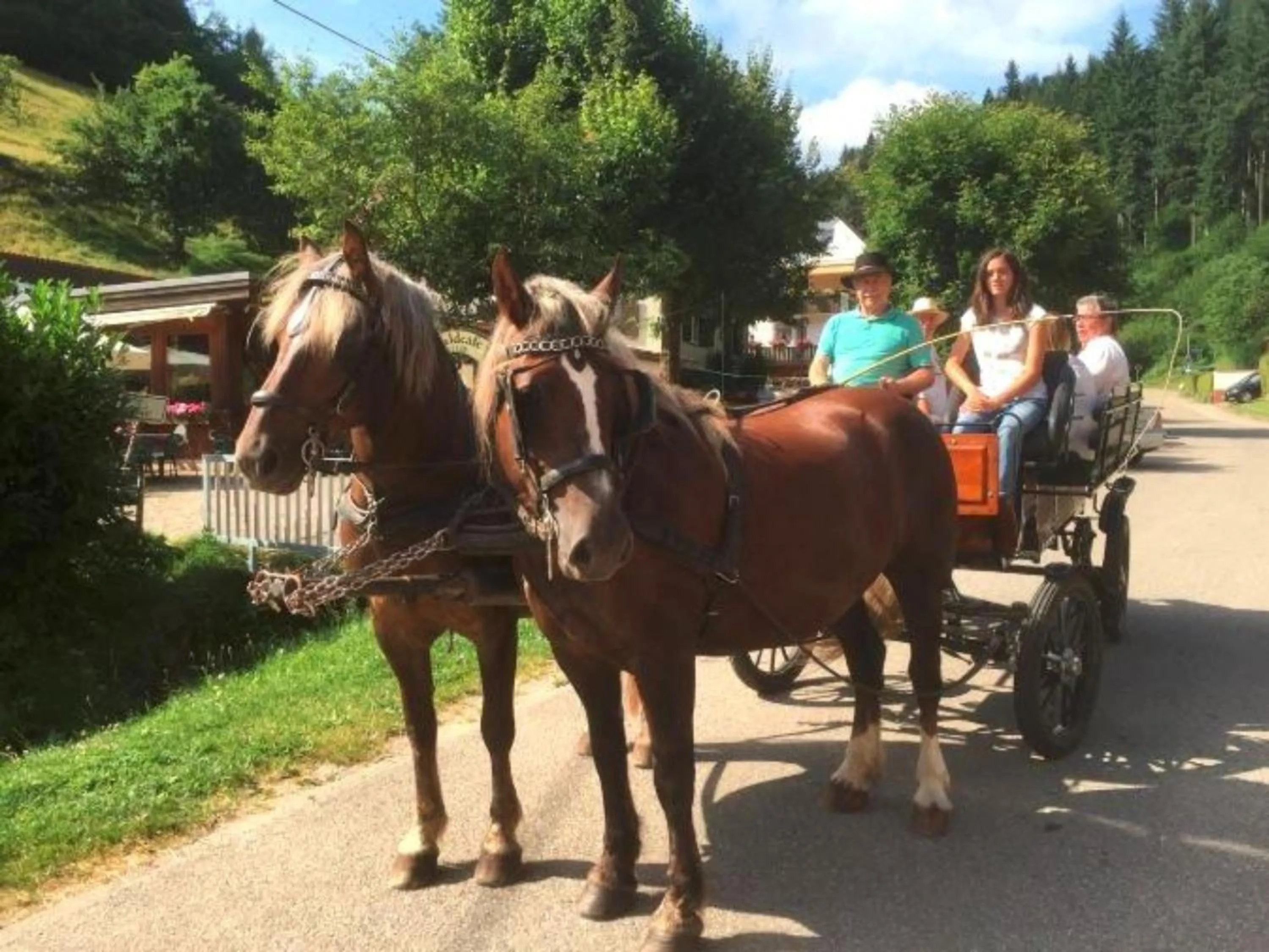 Entertainment in Ferienwohnungen Maierhof Oberried
