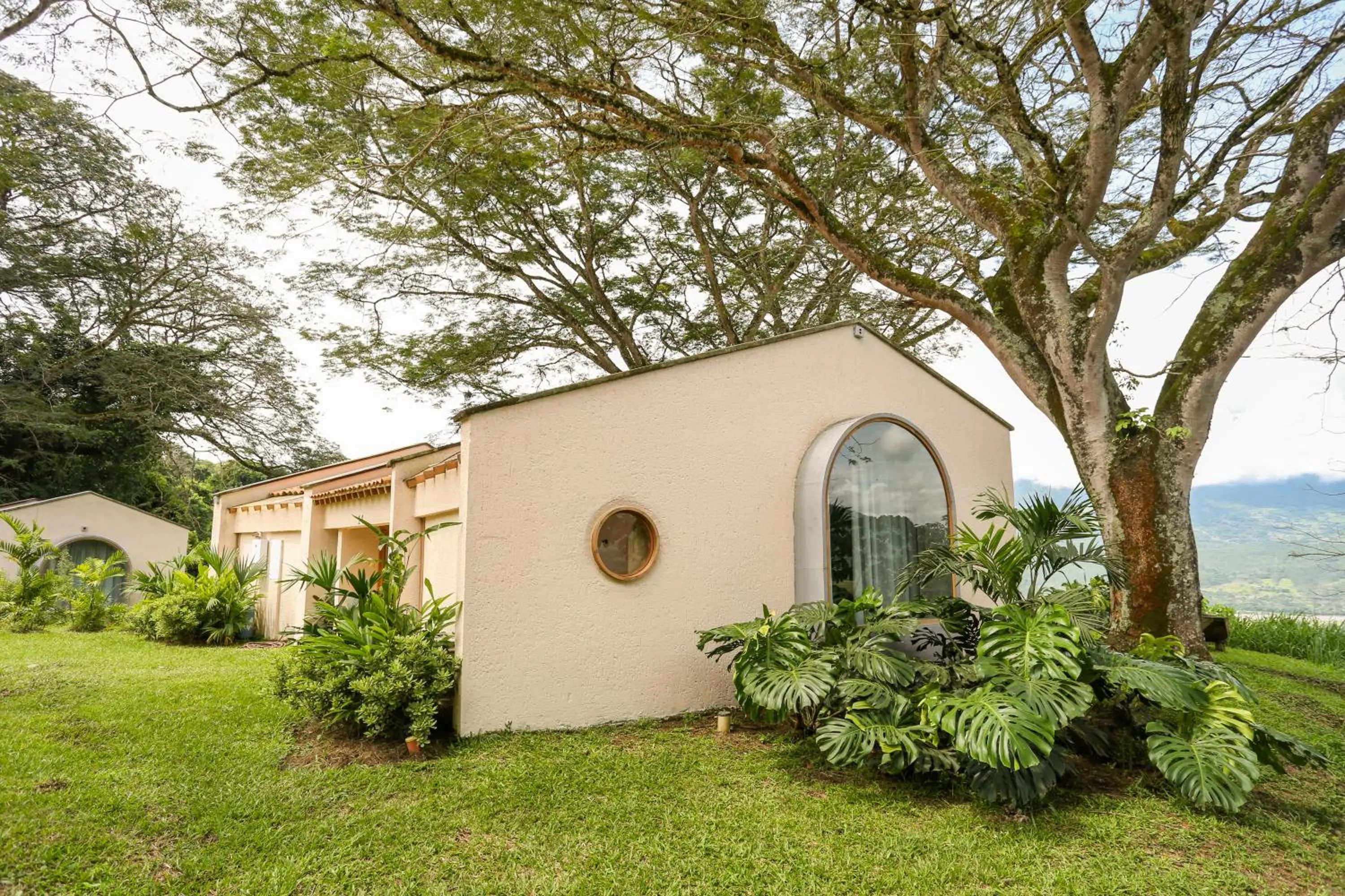Garden in Hotel Tahiti