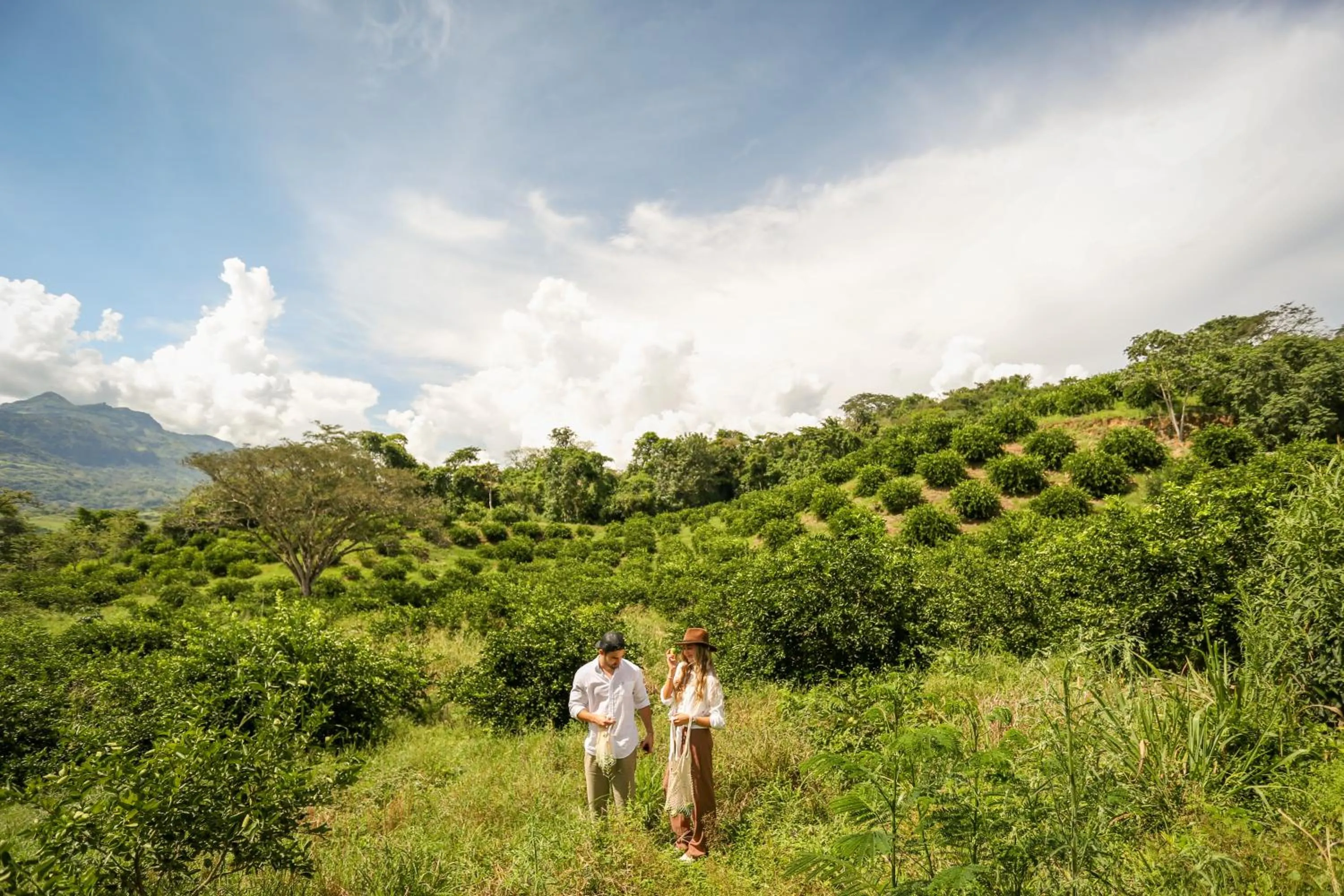 Natural landscape in Hotel Tahiti