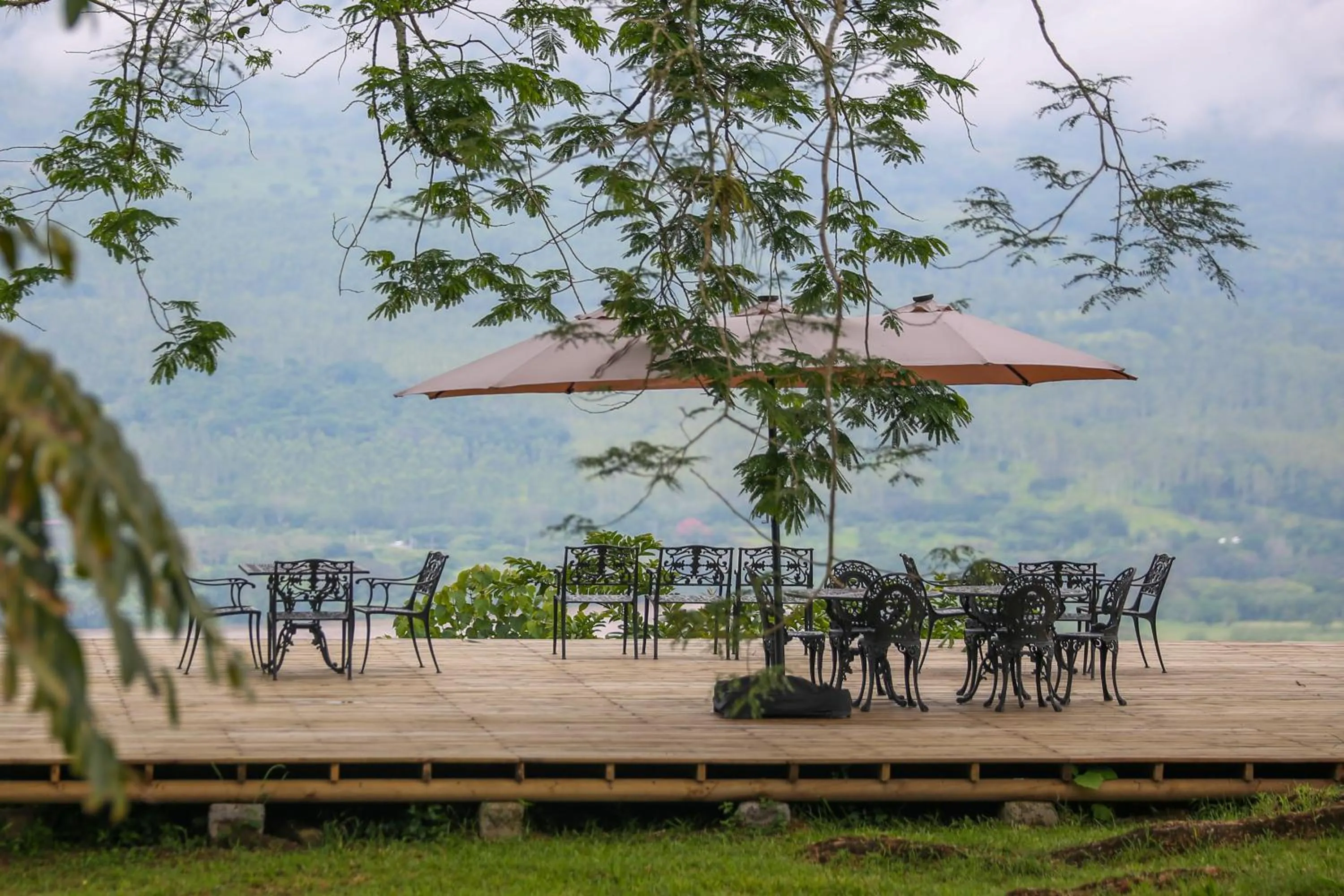 Natural landscape in Hotel Tahiti