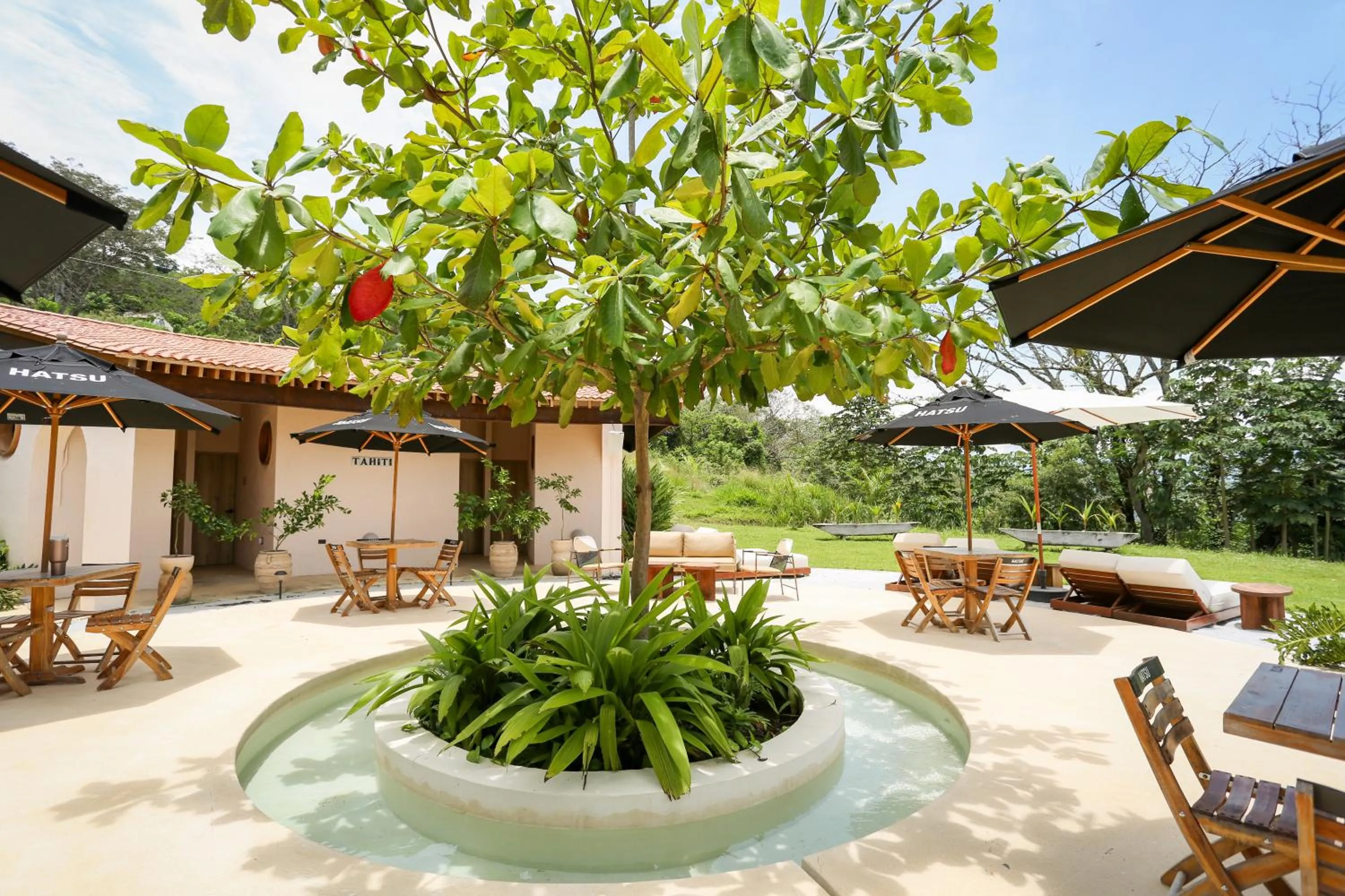 Garden in Hotel Tahiti
