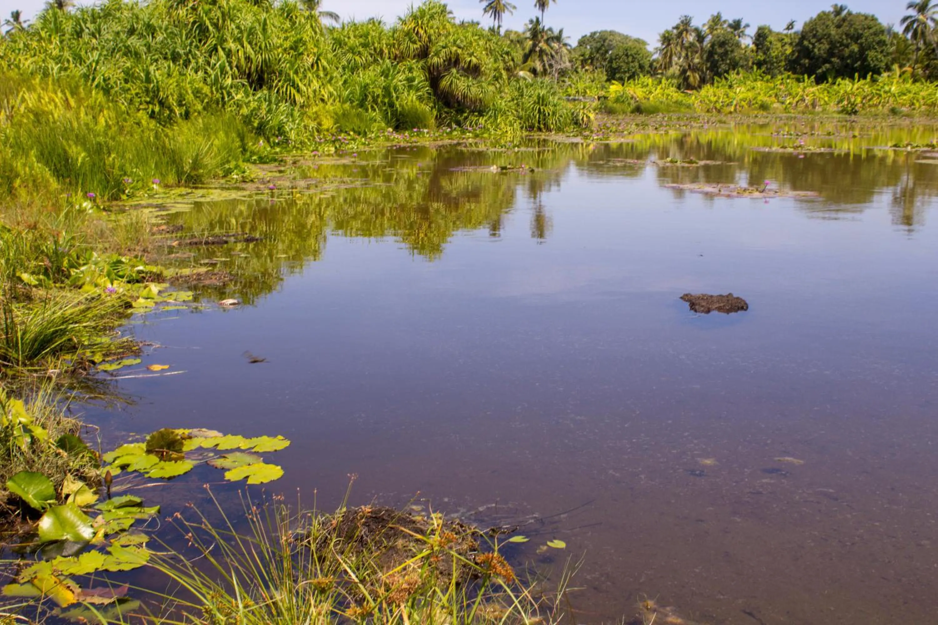 Hiking in Silver County Hotel, Fuvahmulah - Maldives