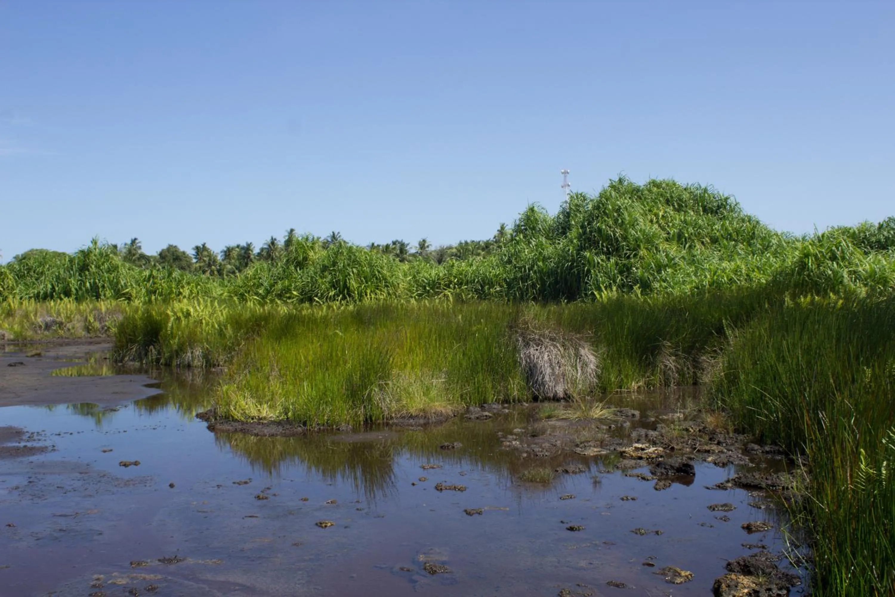 Spring in Silver County Hotel, Fuvahmulah - Maldives