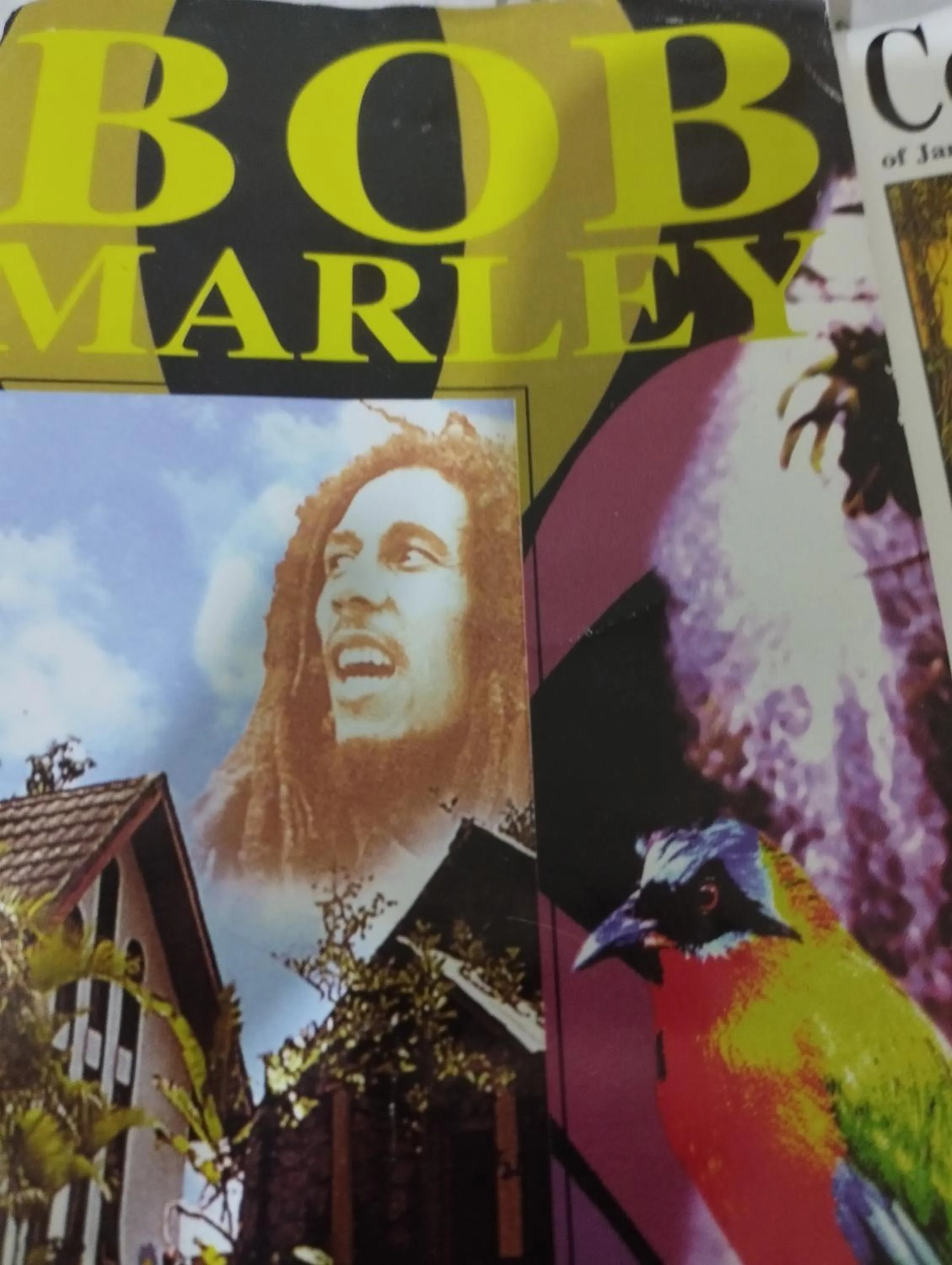 Evening entertainment in Bob Marley Peace hotel luxor