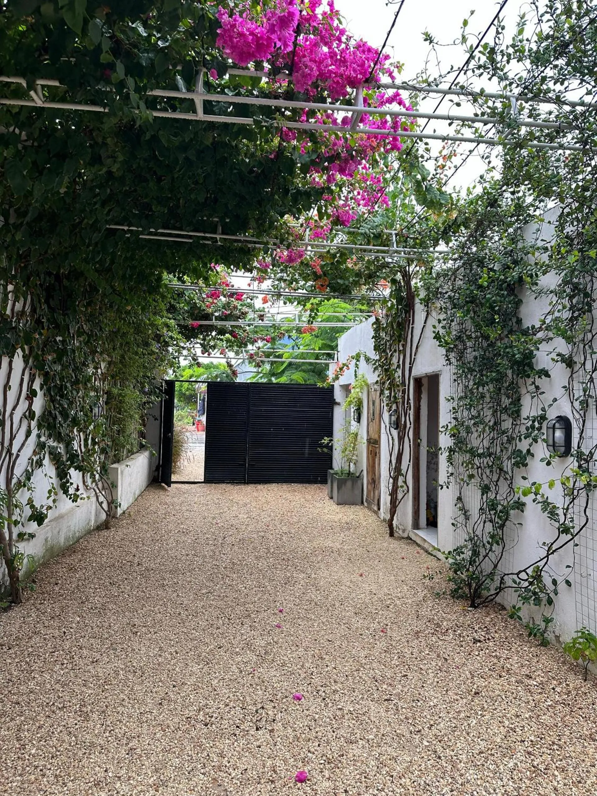 Facade/entrance in Cactus lodge Zanzibar