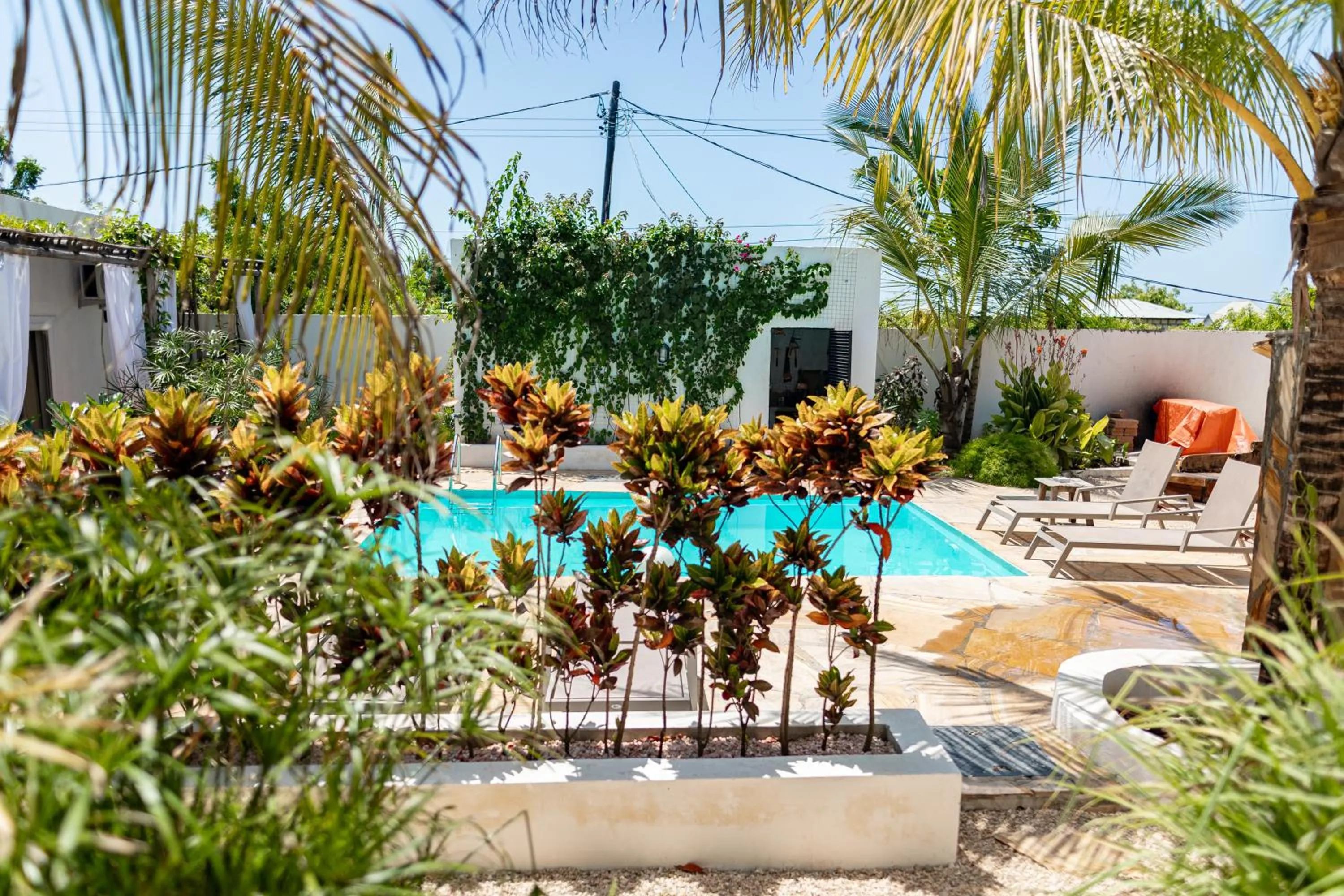Swimming pool in Cactus lodge Zanzibar