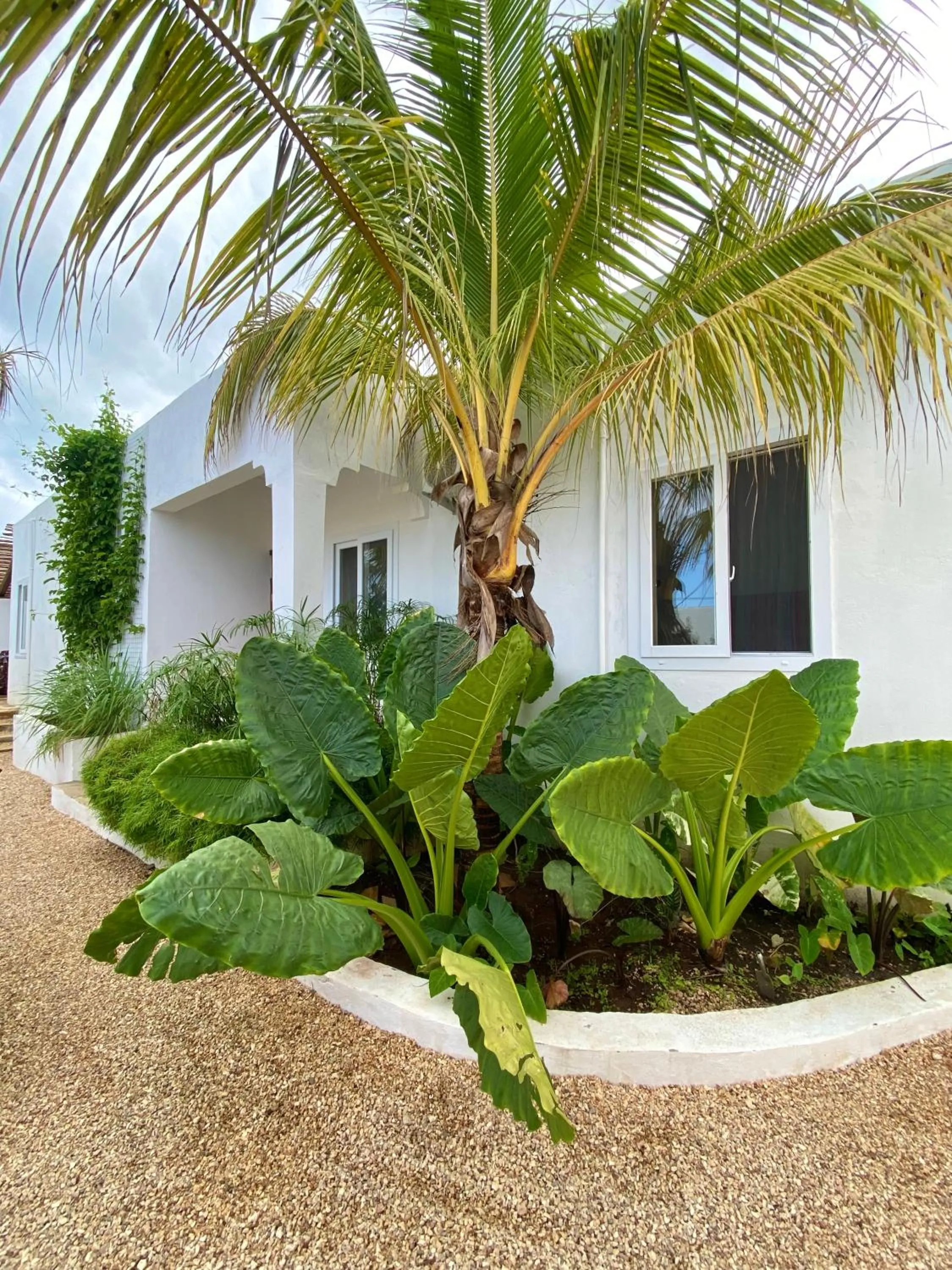 Property building in Cactus lodge Zanzibar