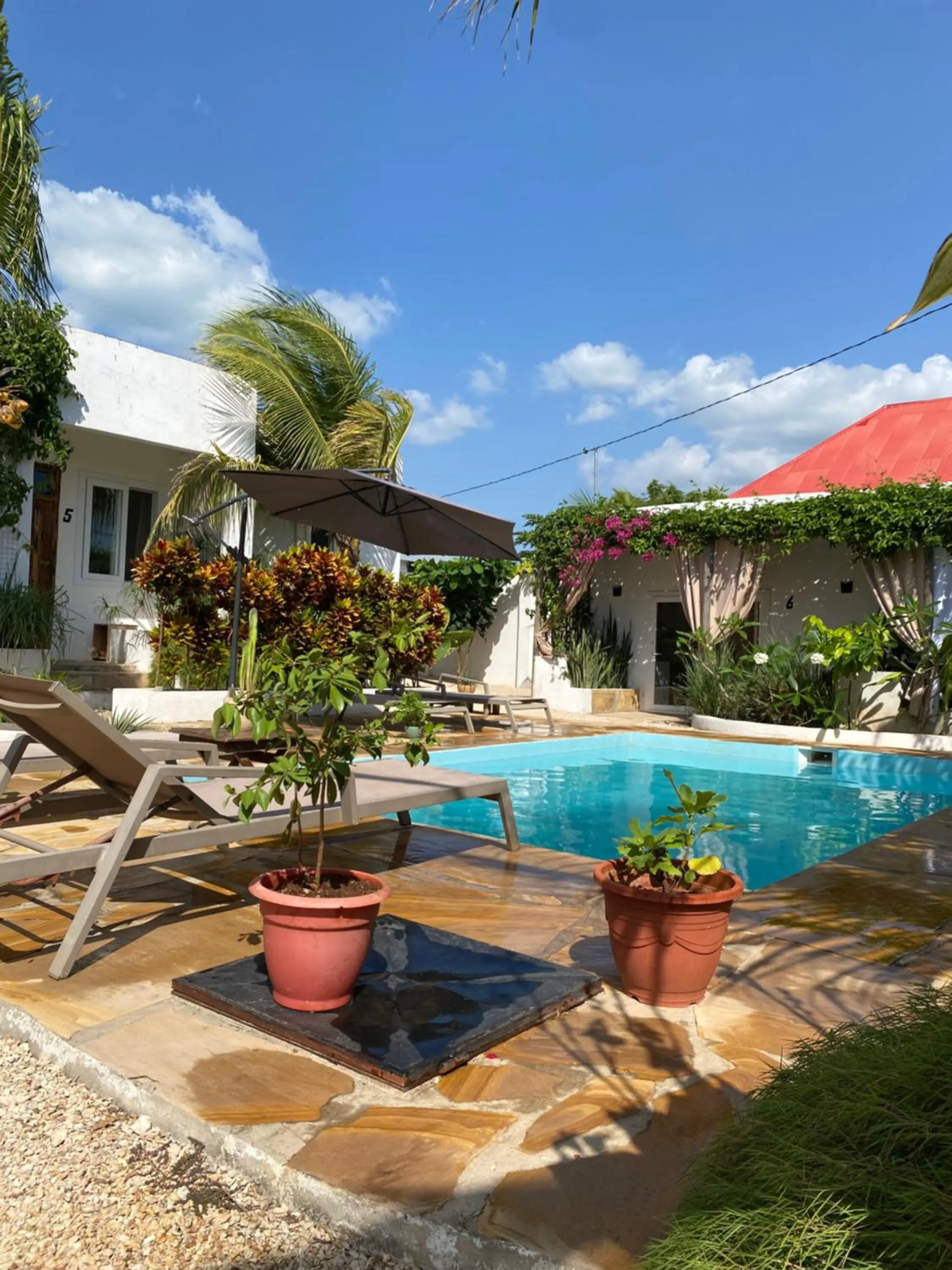 Property building in Cactus lodge Zanzibar