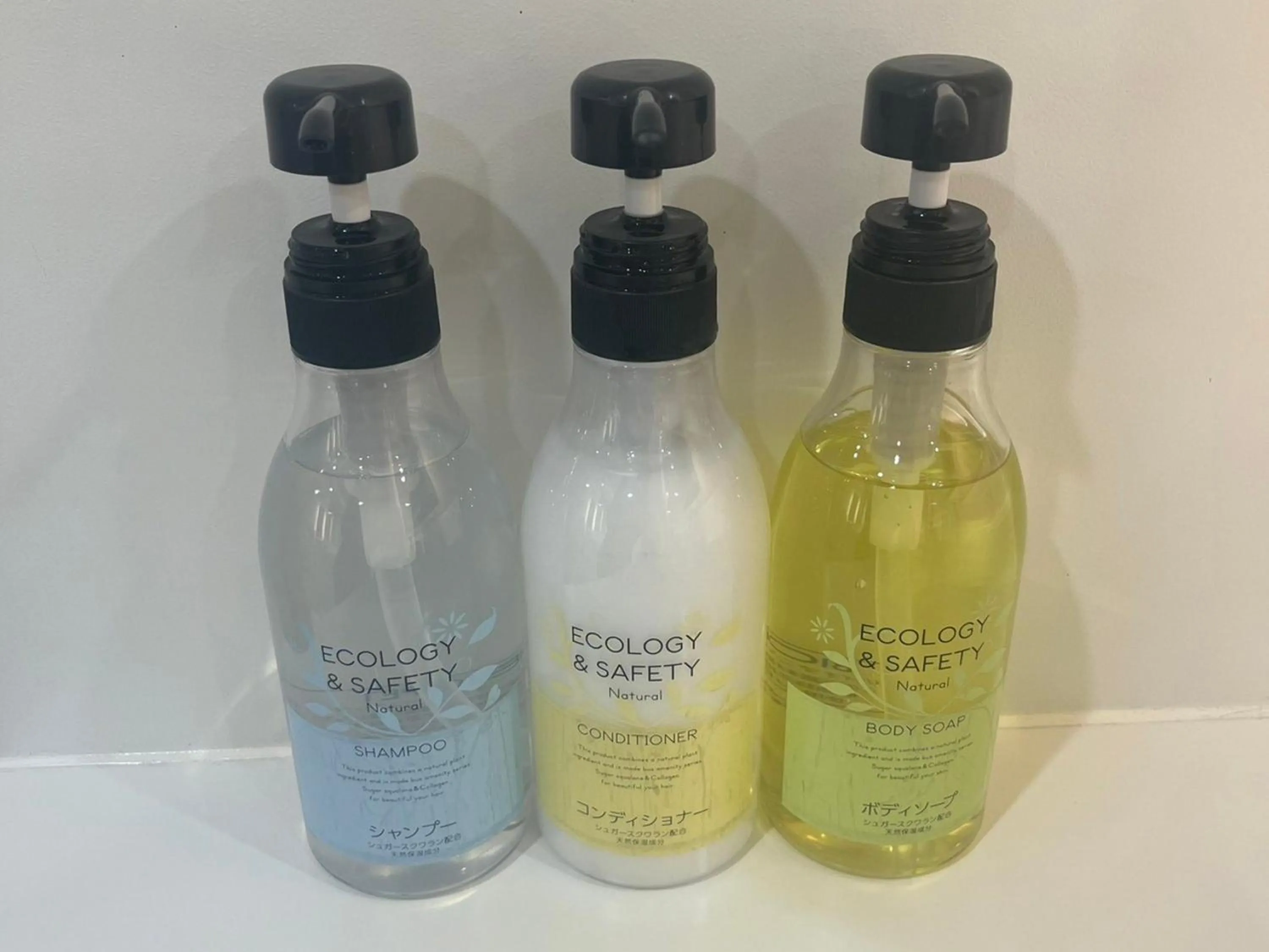 Activities in First Cabin Hakata