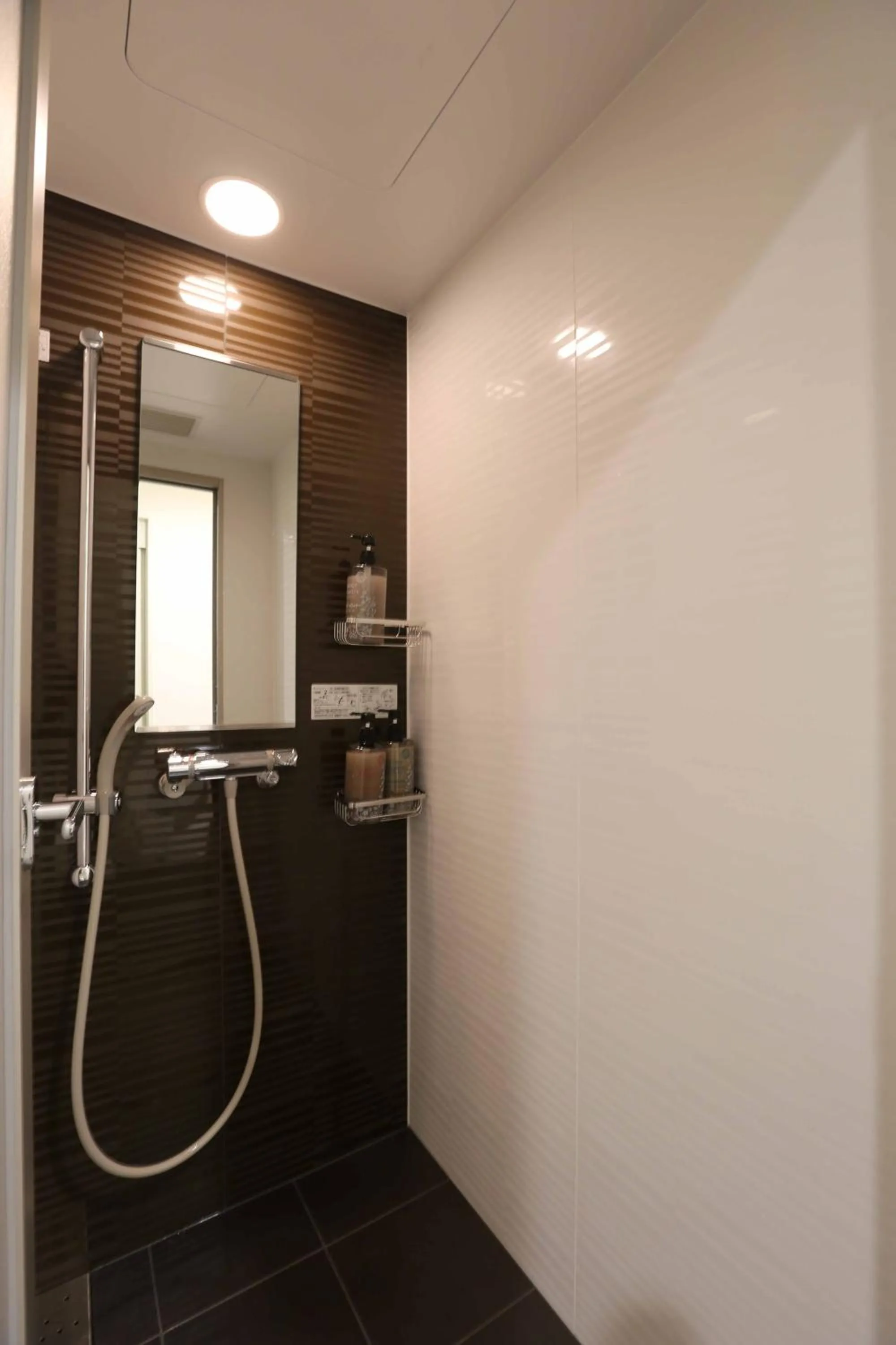 Bathroom in First Cabin Hakata