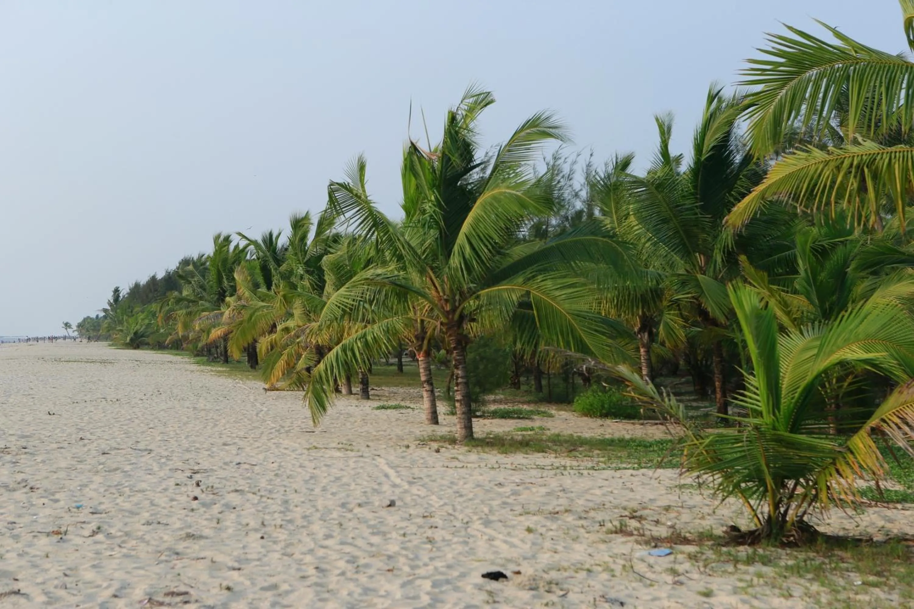 Day in Mayas Beach House