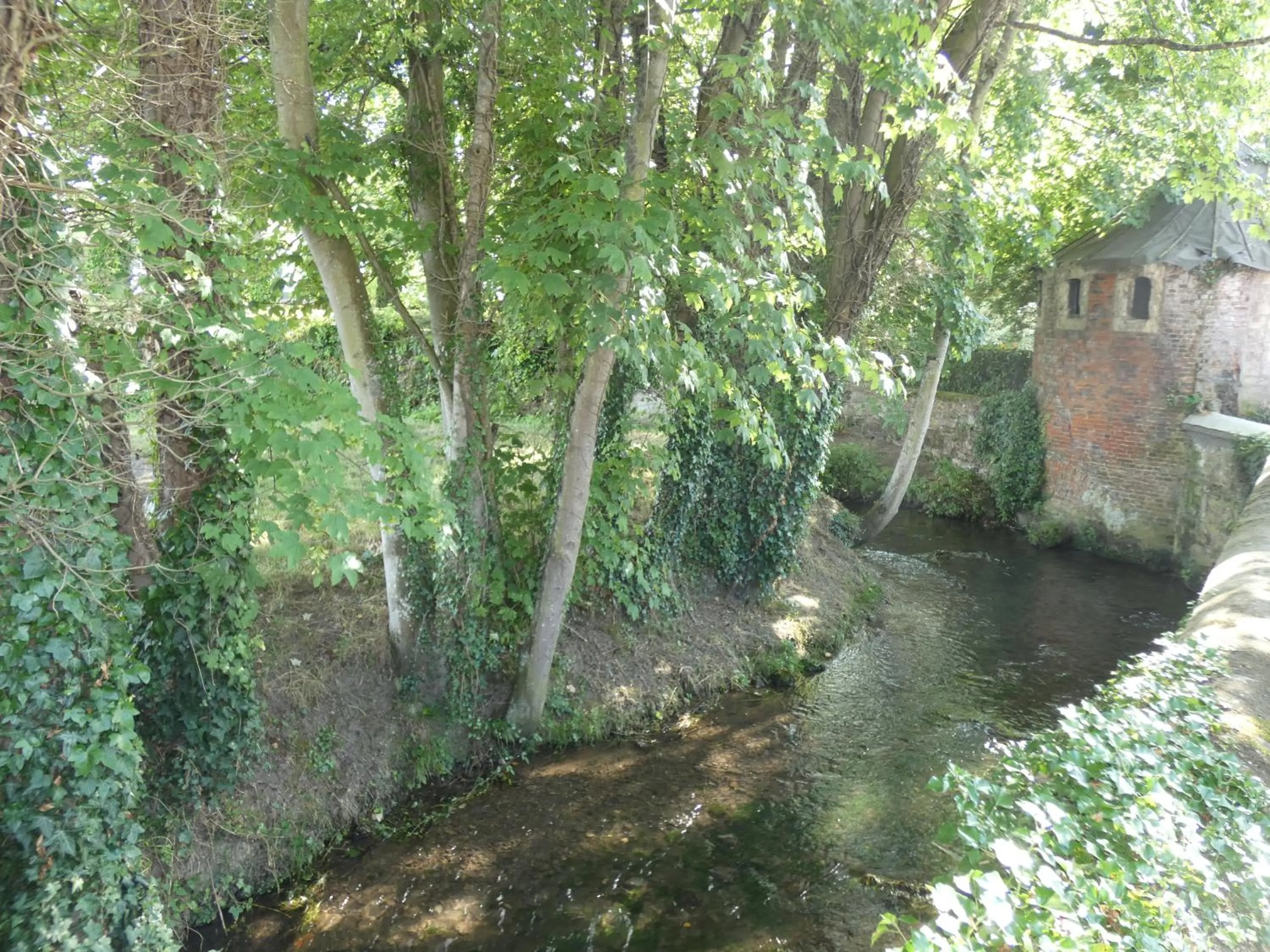 Natural landscape in Hôtel de France