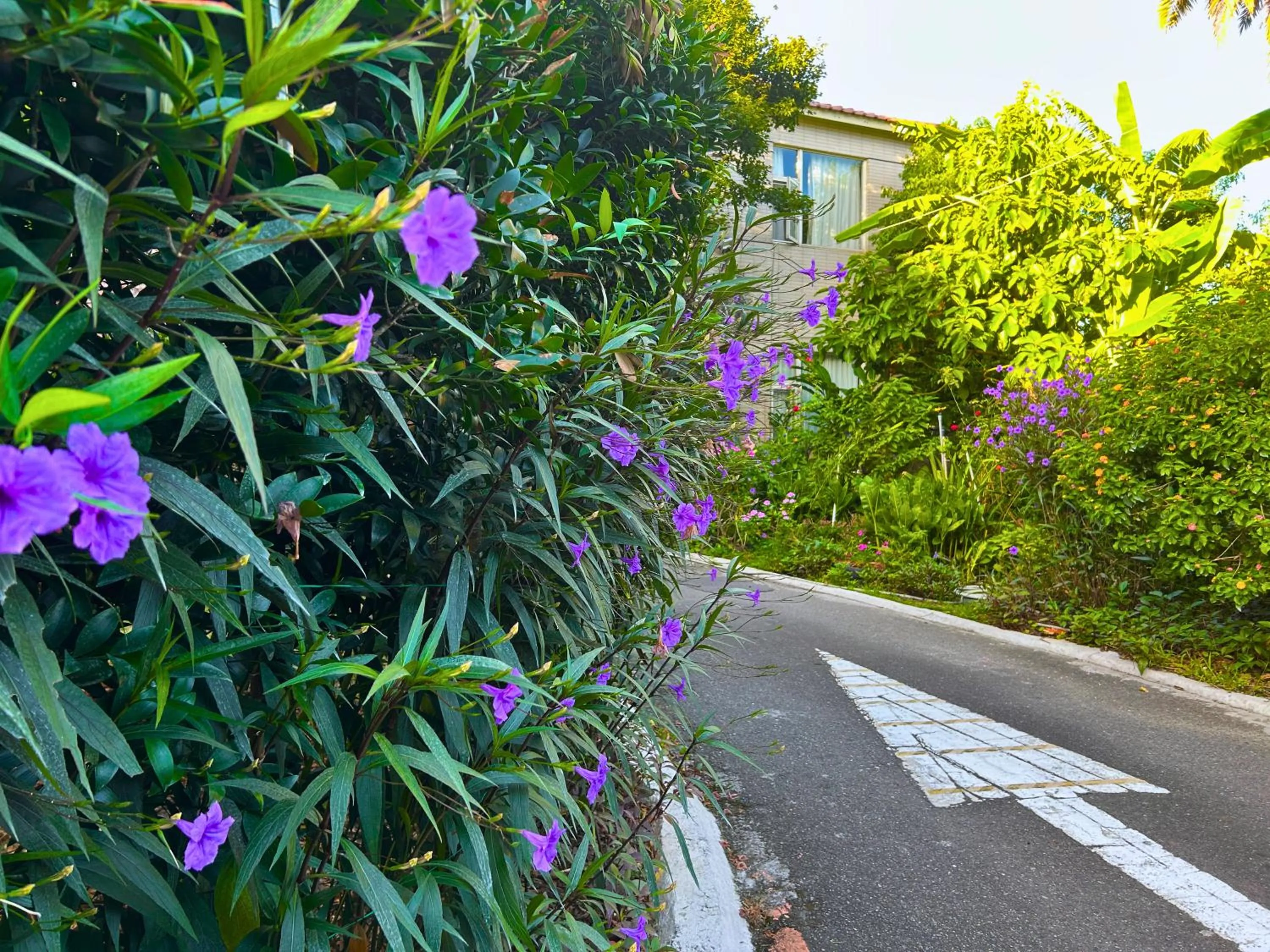 Property building in Wogo Hotel