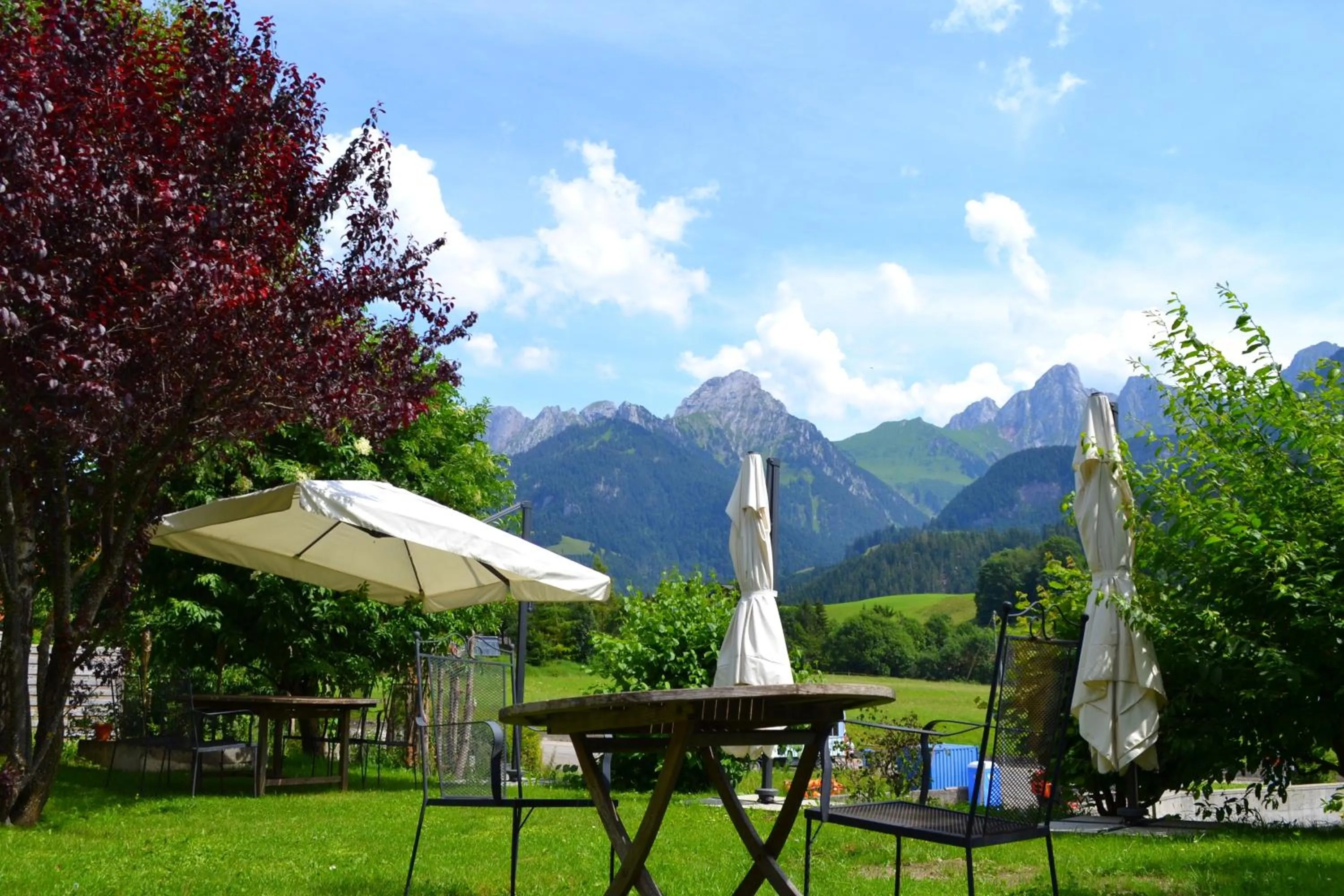 Garden in Chalet Rosaly