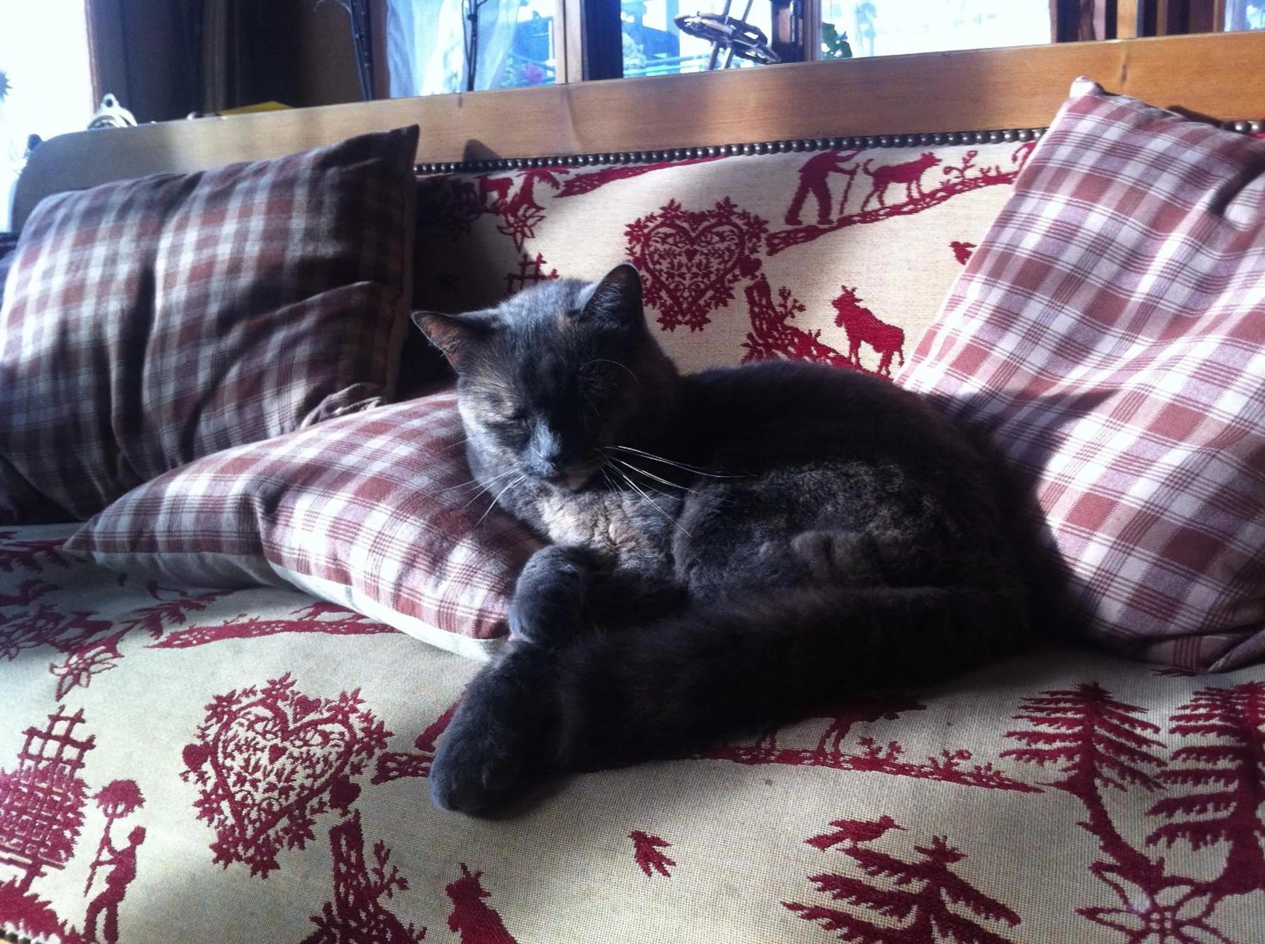Pets in Chalet Rosaly