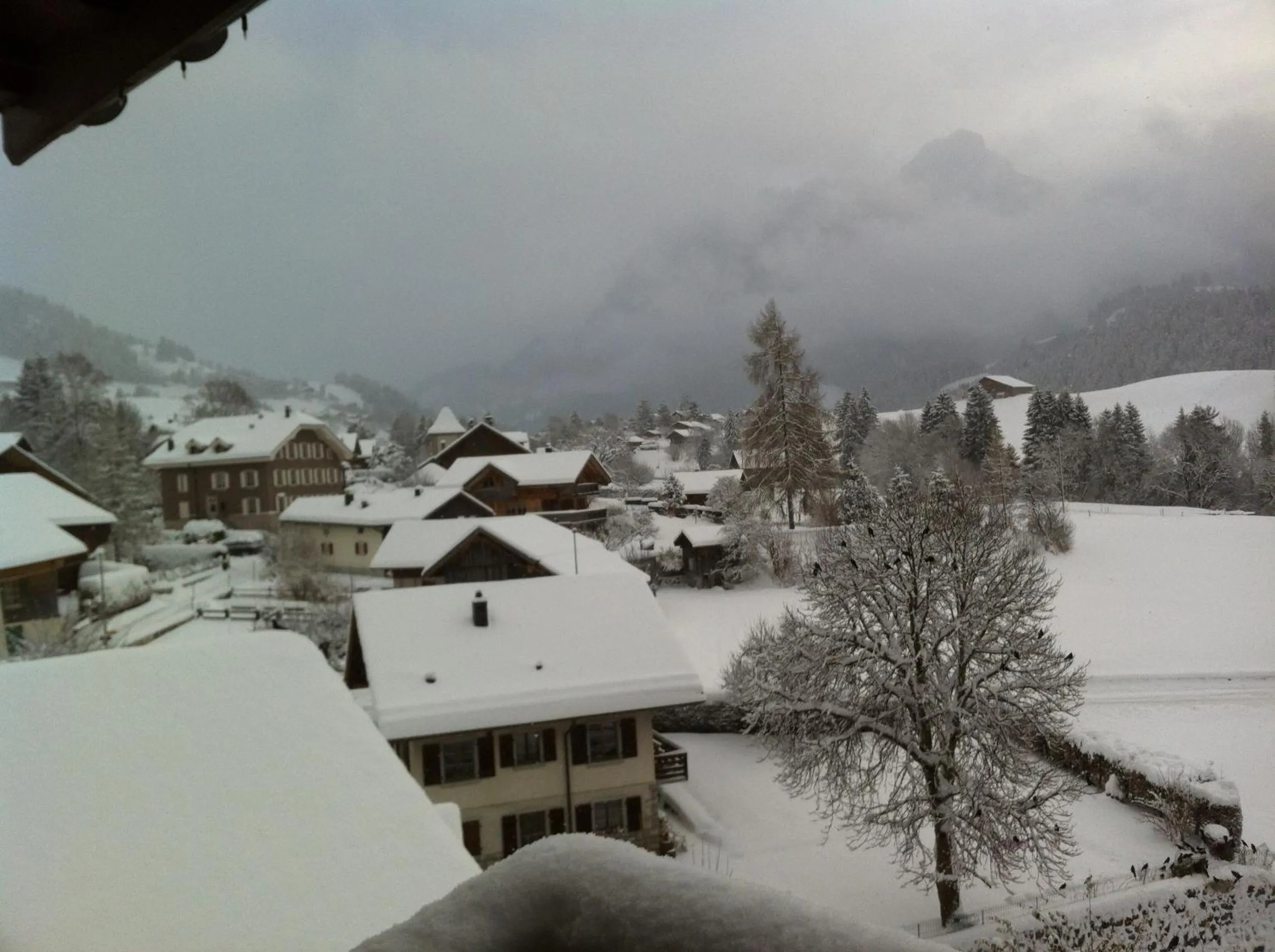 Mountain view in Chalet Rosaly