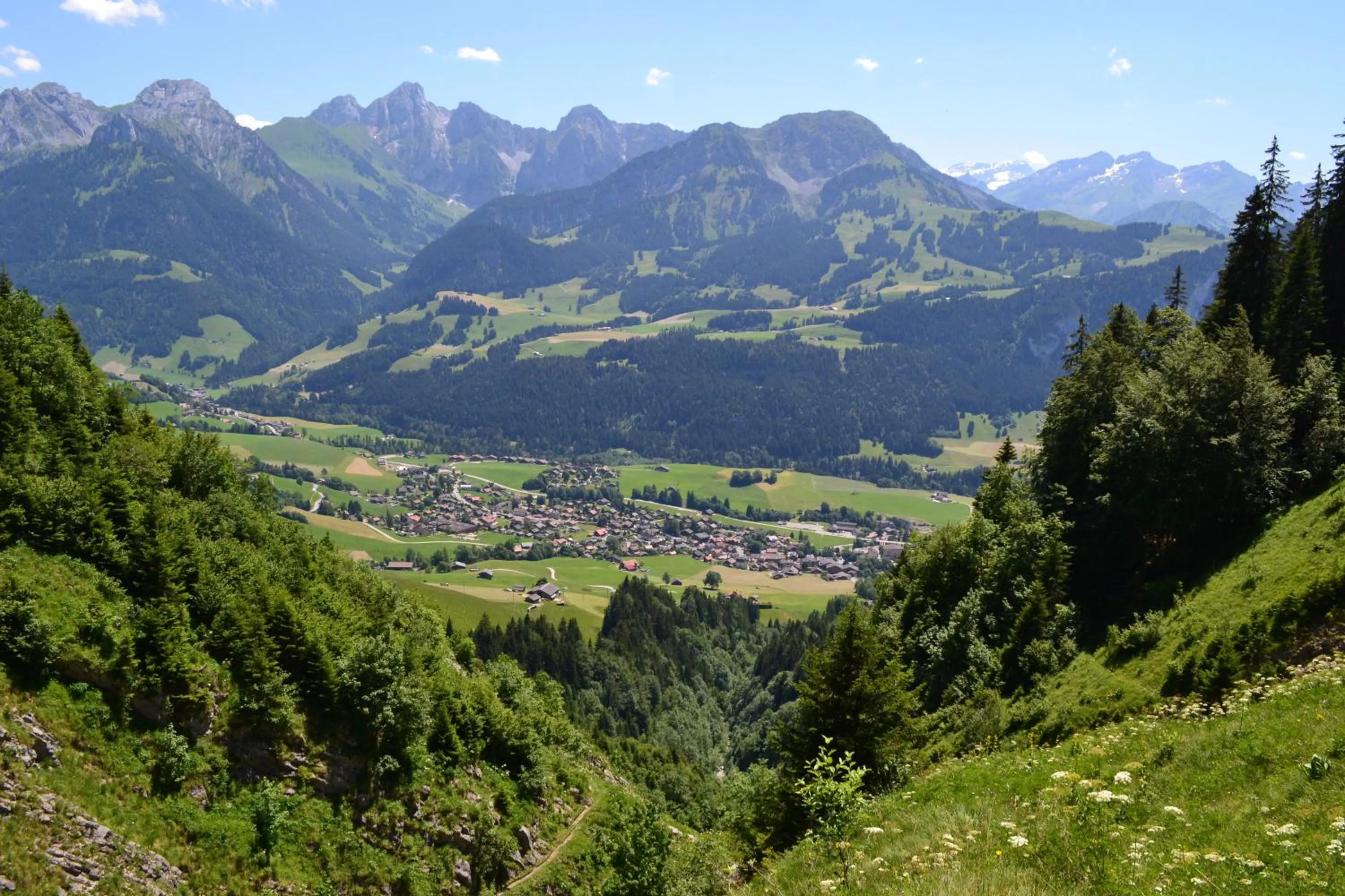 Area and facilities in Chalet Rosaly