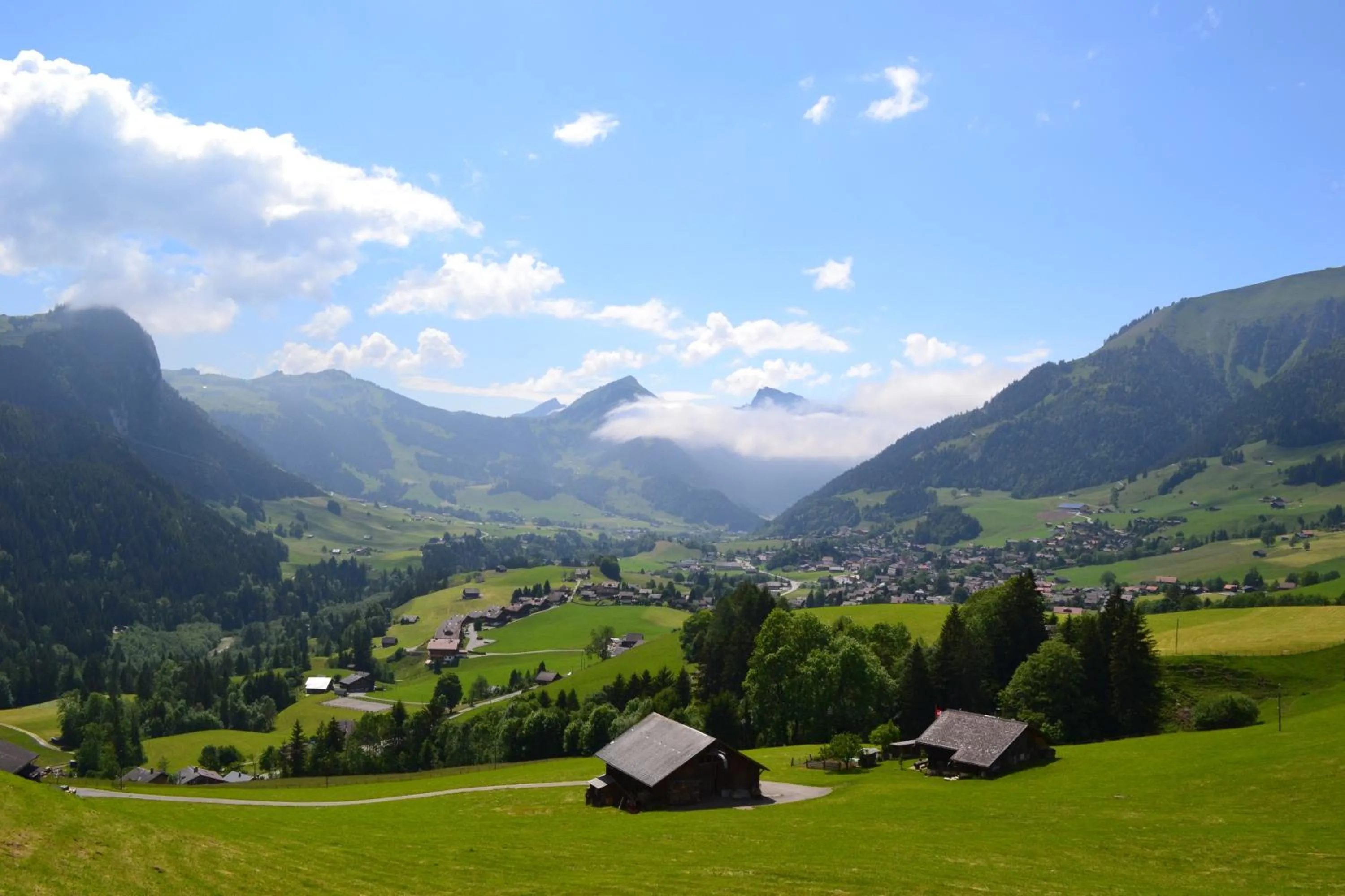 Area and facilities in Chalet Rosaly