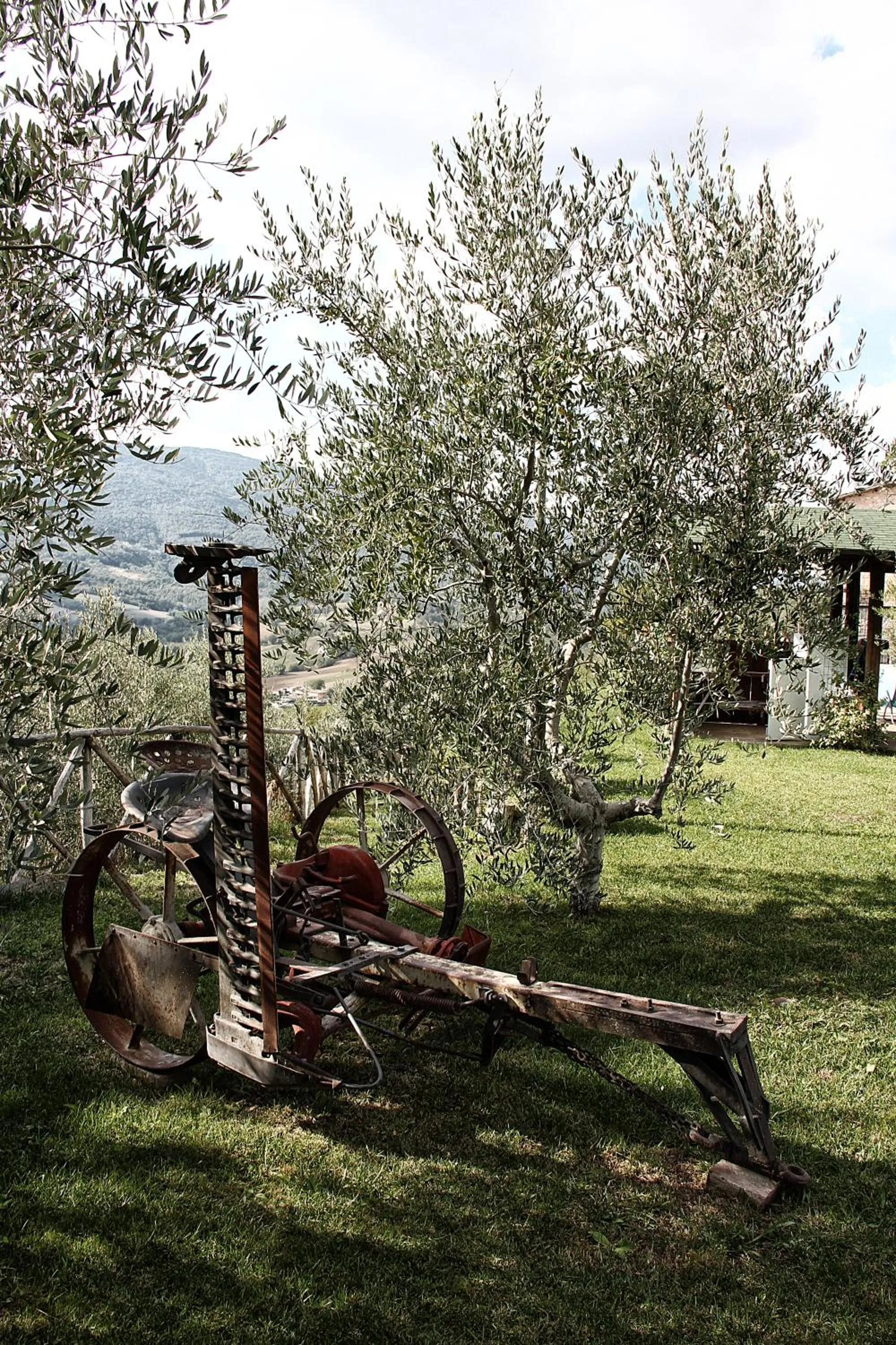 Garden in Il Castello Di Perchia