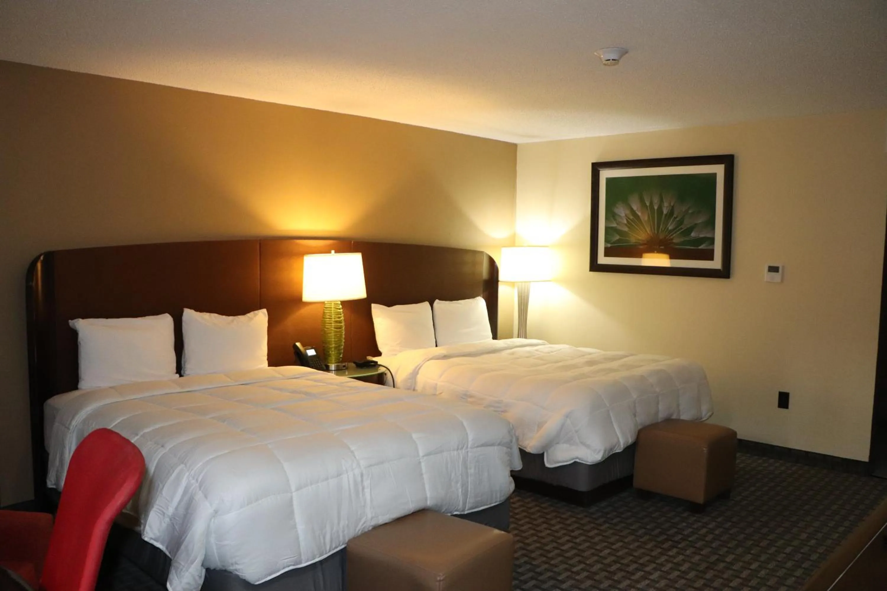 Bed in Historic Cow Palace Inn