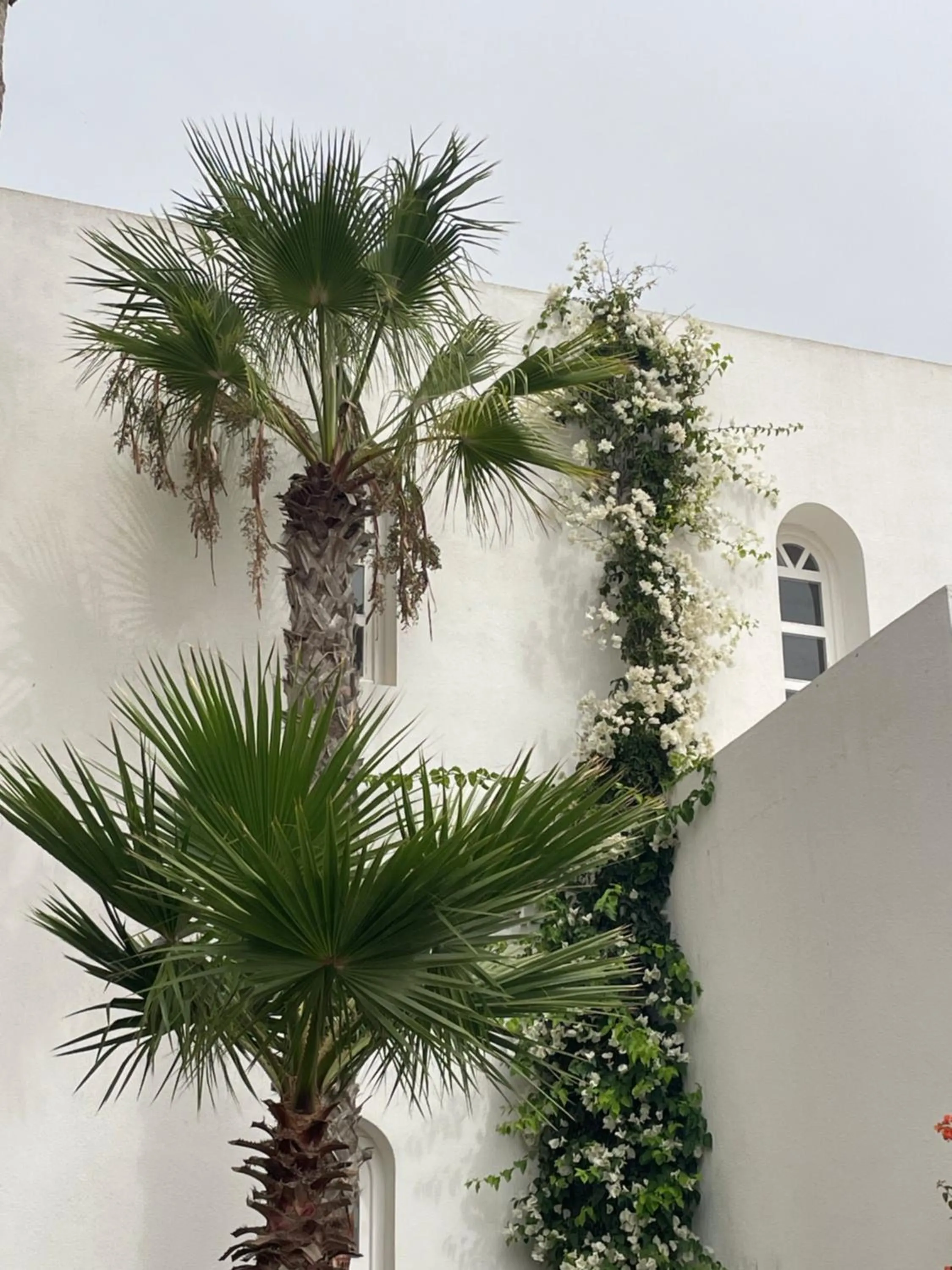 Garden in Villa La Falaise