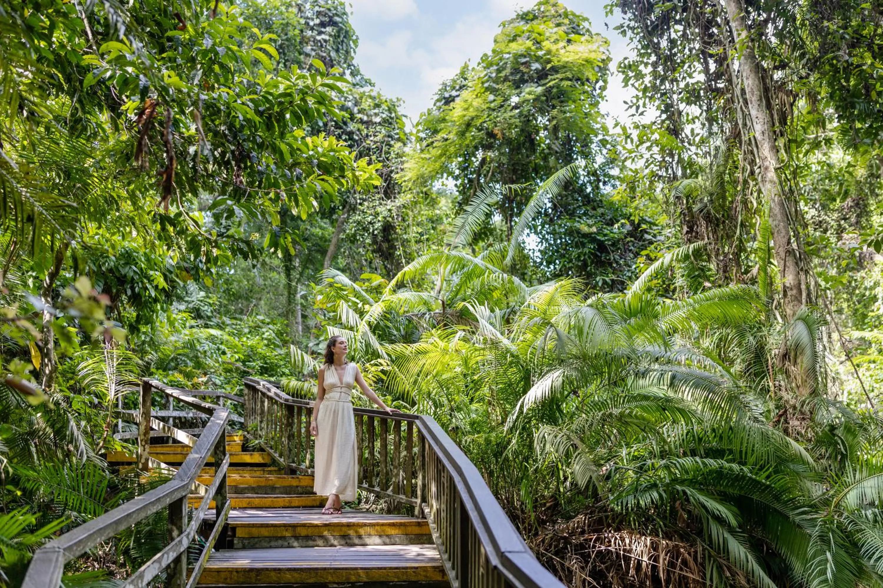 Natural landscape in The Hava Ubud A Pramana Experience