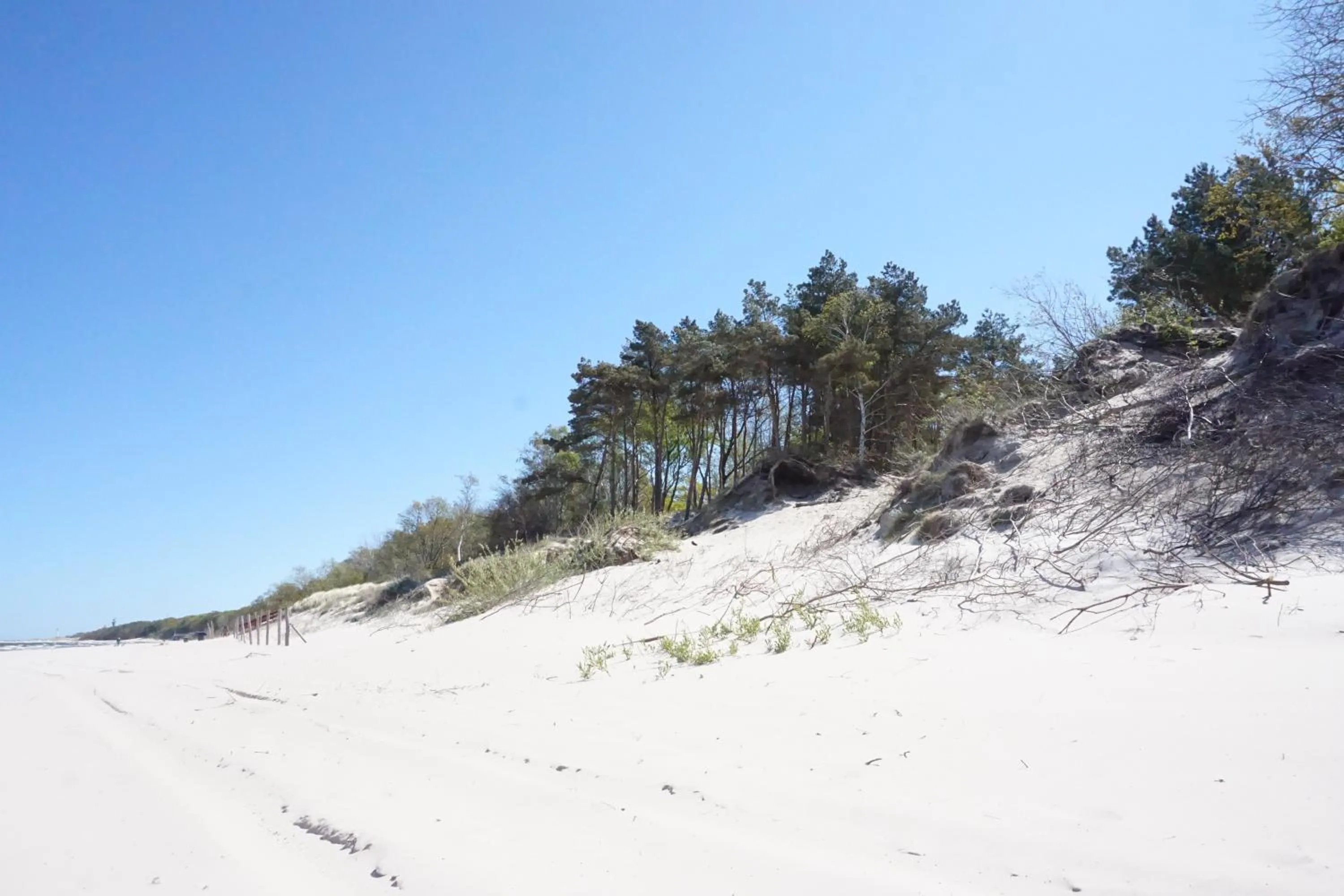 Natural landscape in Blue&Green Baltic Hotel mediSPA&fit