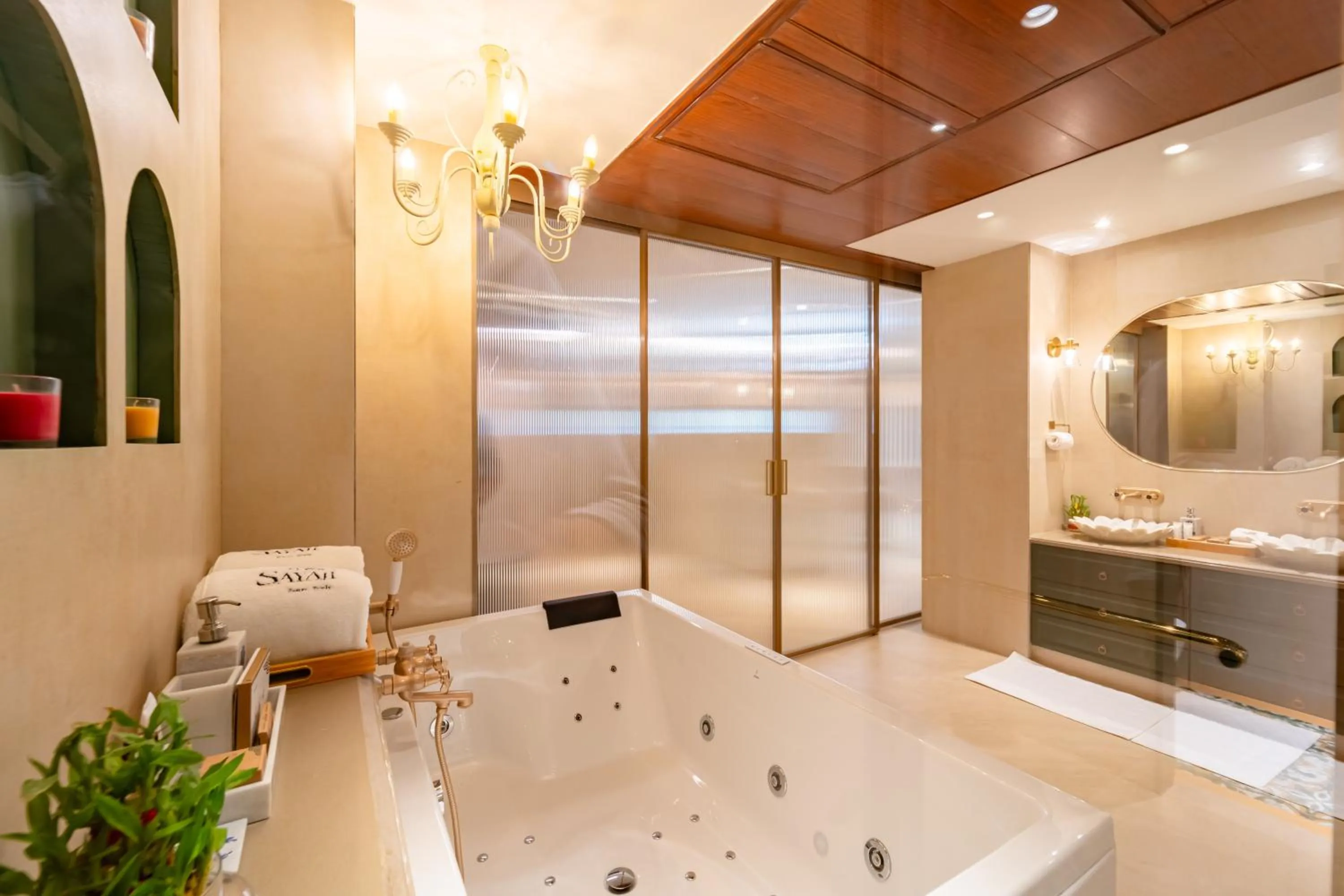 Bathroom in Sayaji Indore