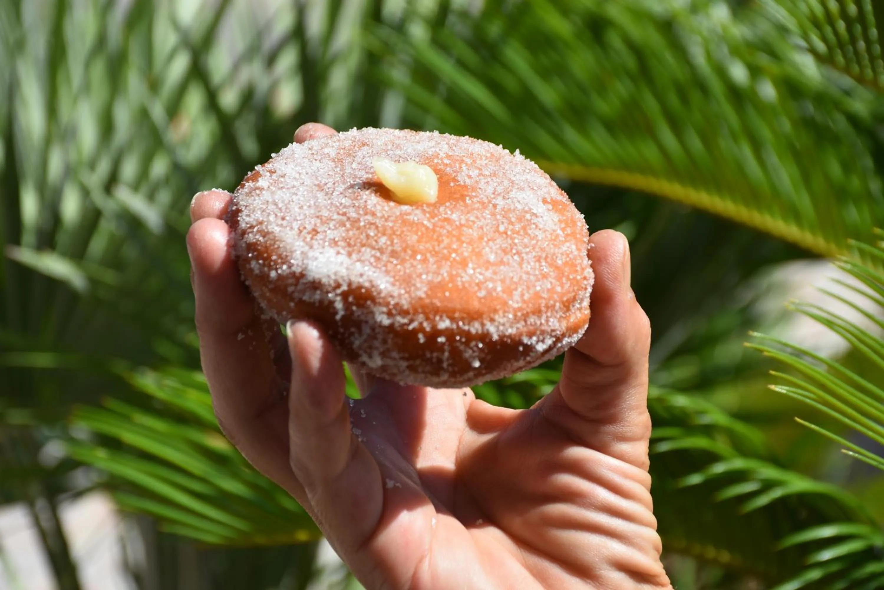 Hotel Villa del Sole