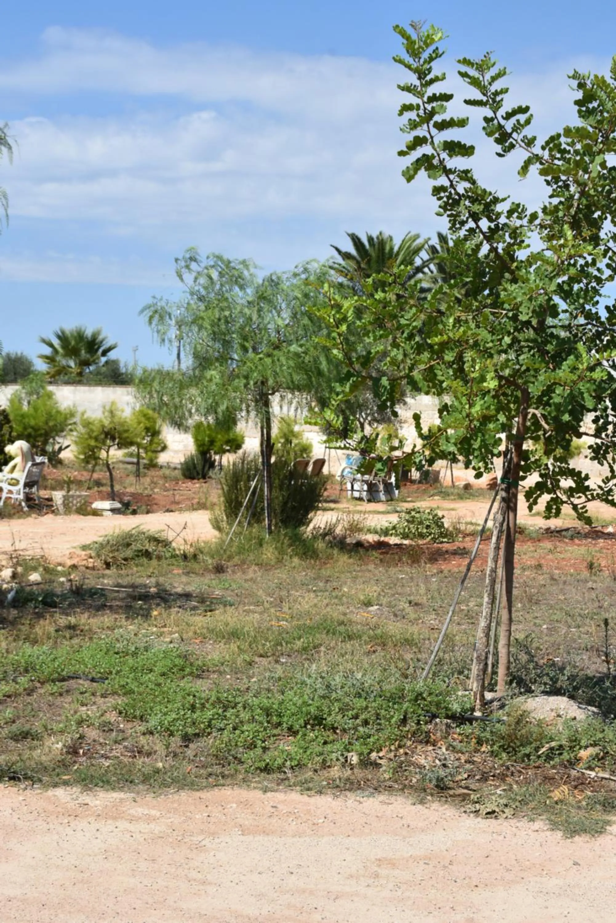 Hotel Villa del Sole