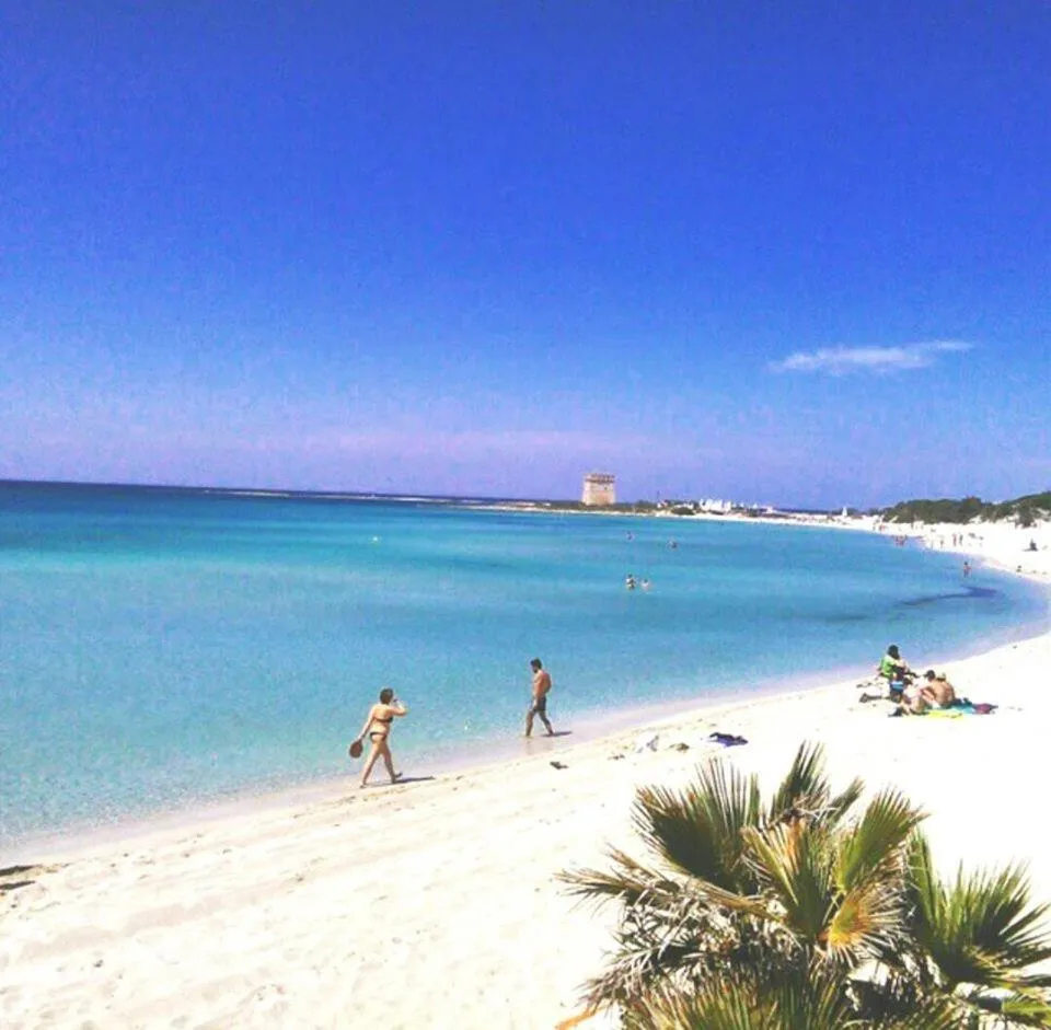 Natural landscape in Hotel Villa del Sole