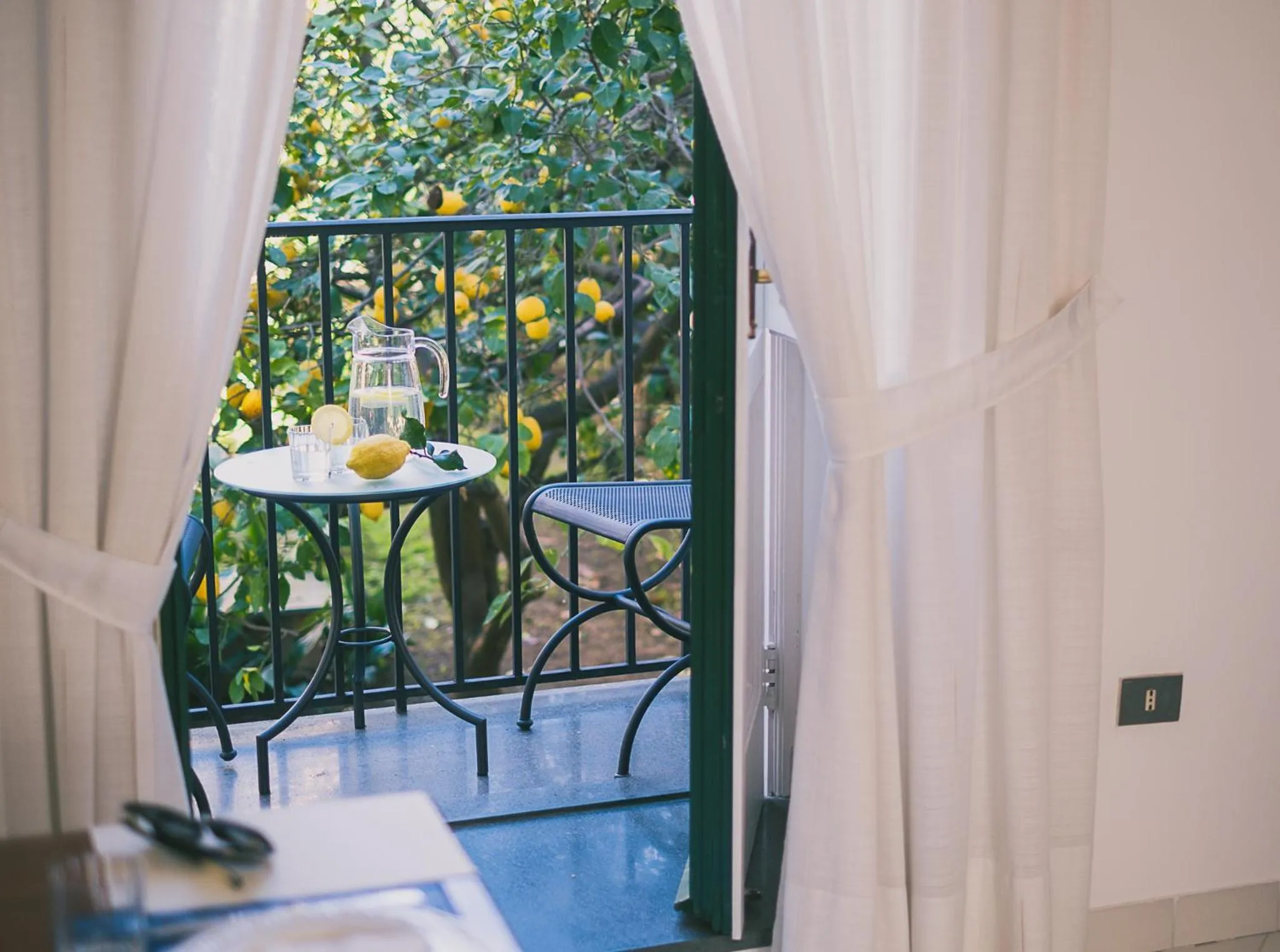 Garden view in Antico Palazzo Scala