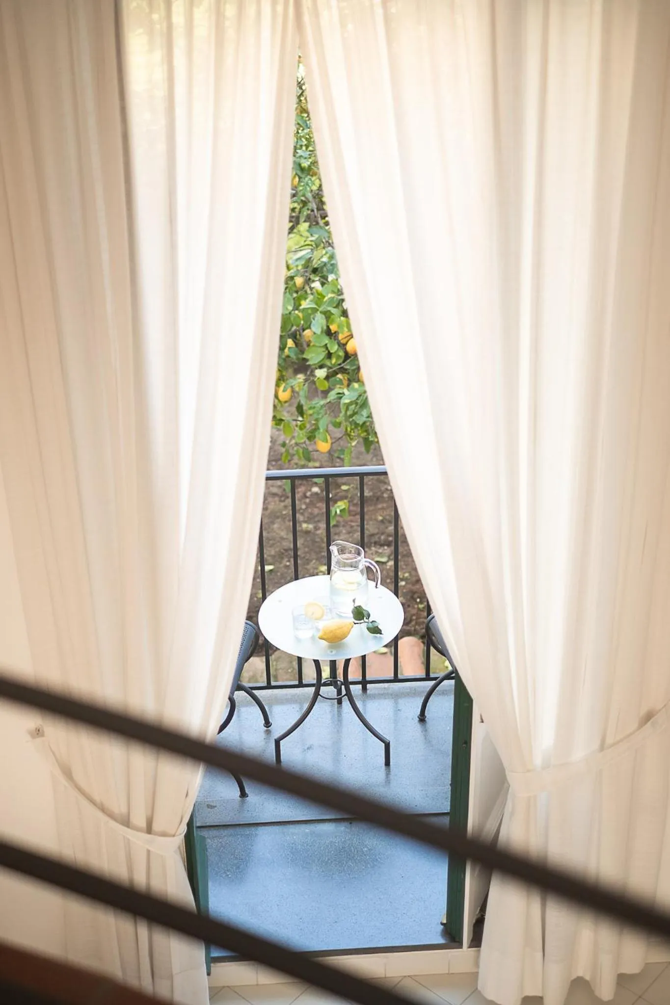 Garden view in Antico Palazzo Scala