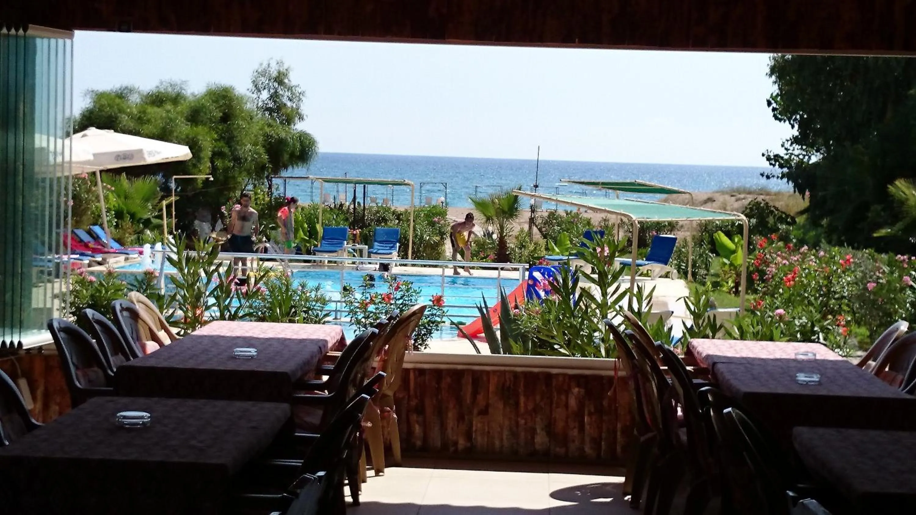 Pool view in Hotel Grün