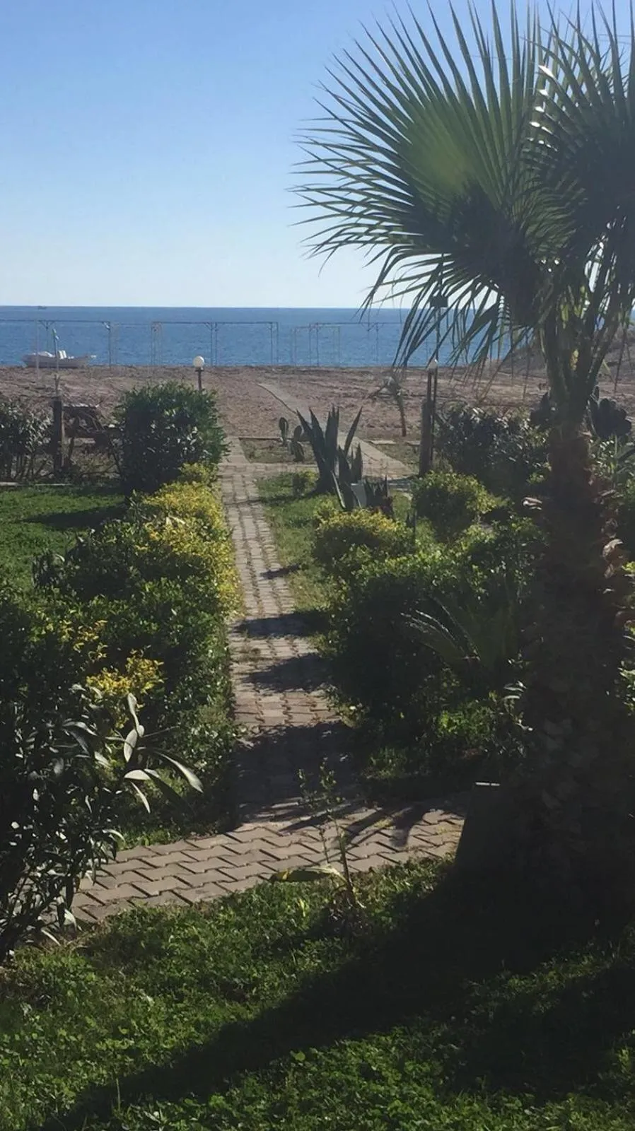 Garden in Hotel Grün