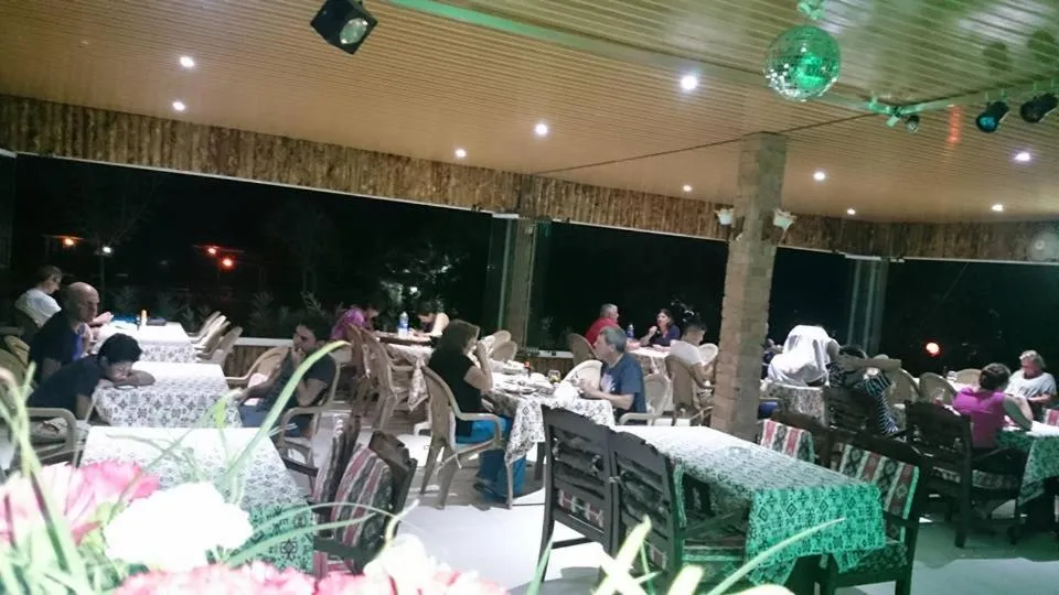 Restaurant/places to eat in Hotel Grün