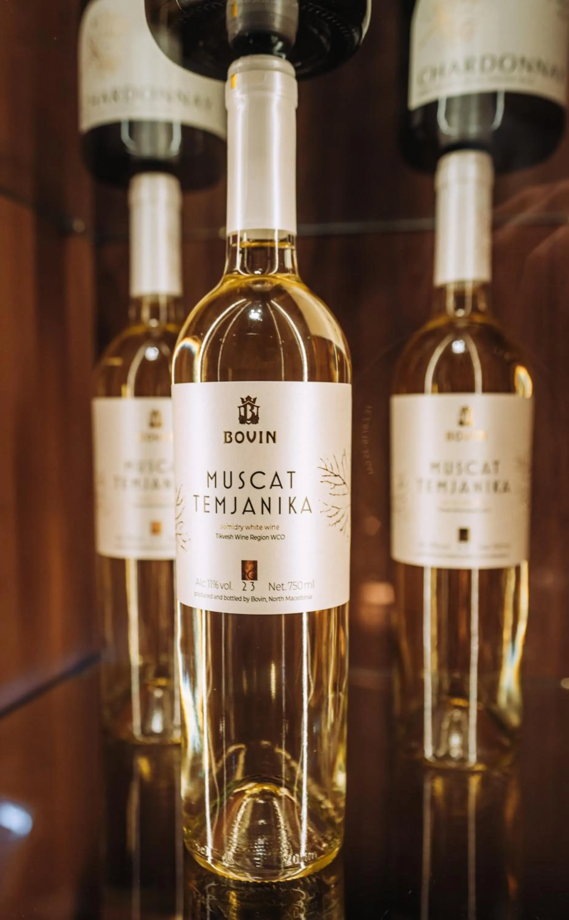 Drinks in Villa Pupin SARAISTE