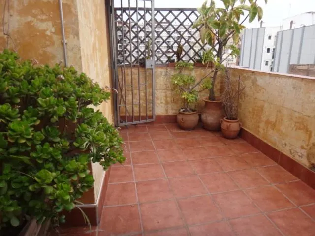 Solarium in A Home in Barcelona