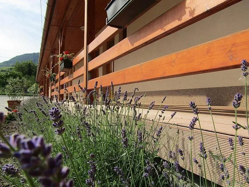 Facade/entrance in Hotel Halászkert Badacsony