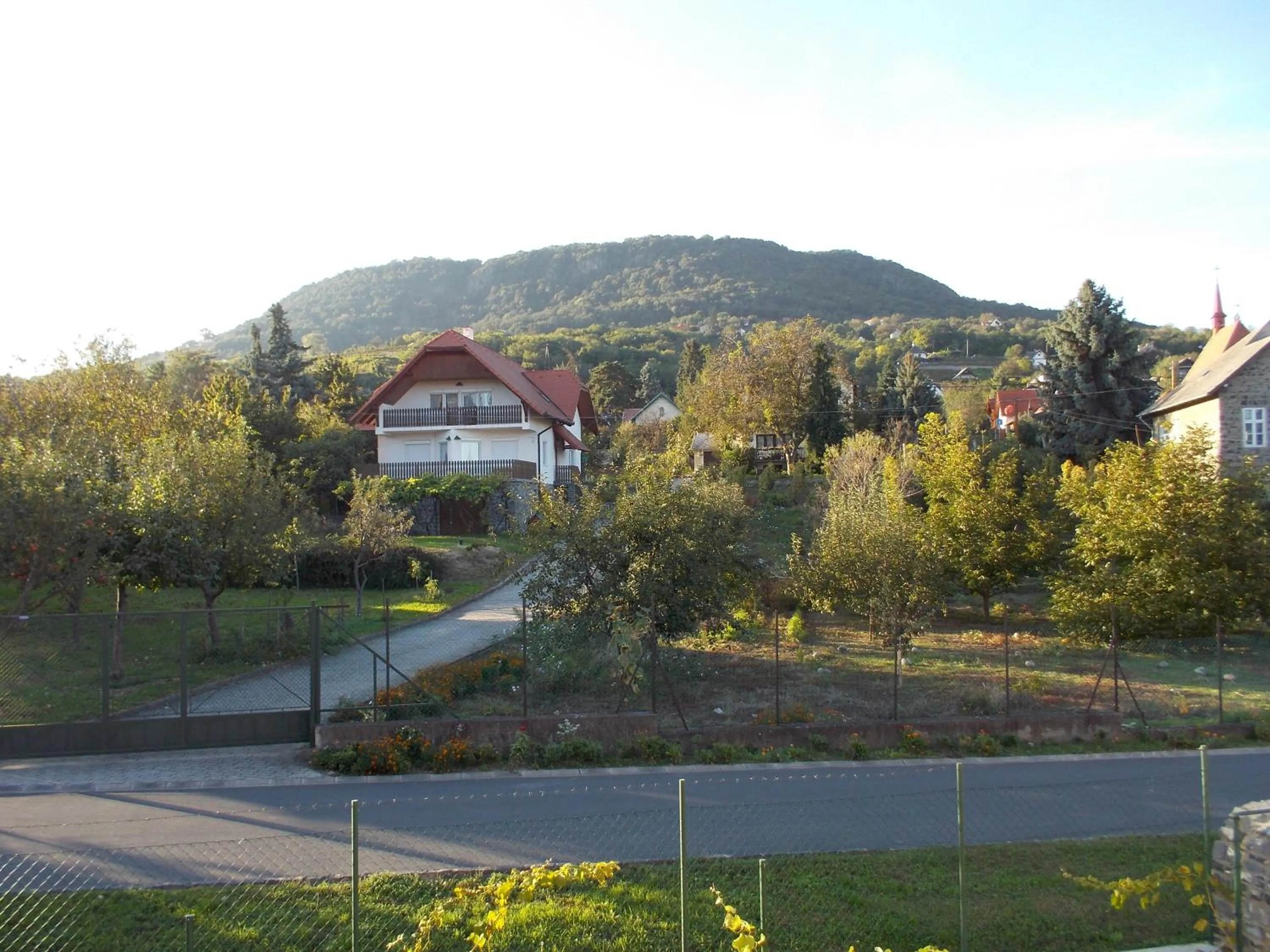 View (from property/room) in Hotel Halászkert Badacsony