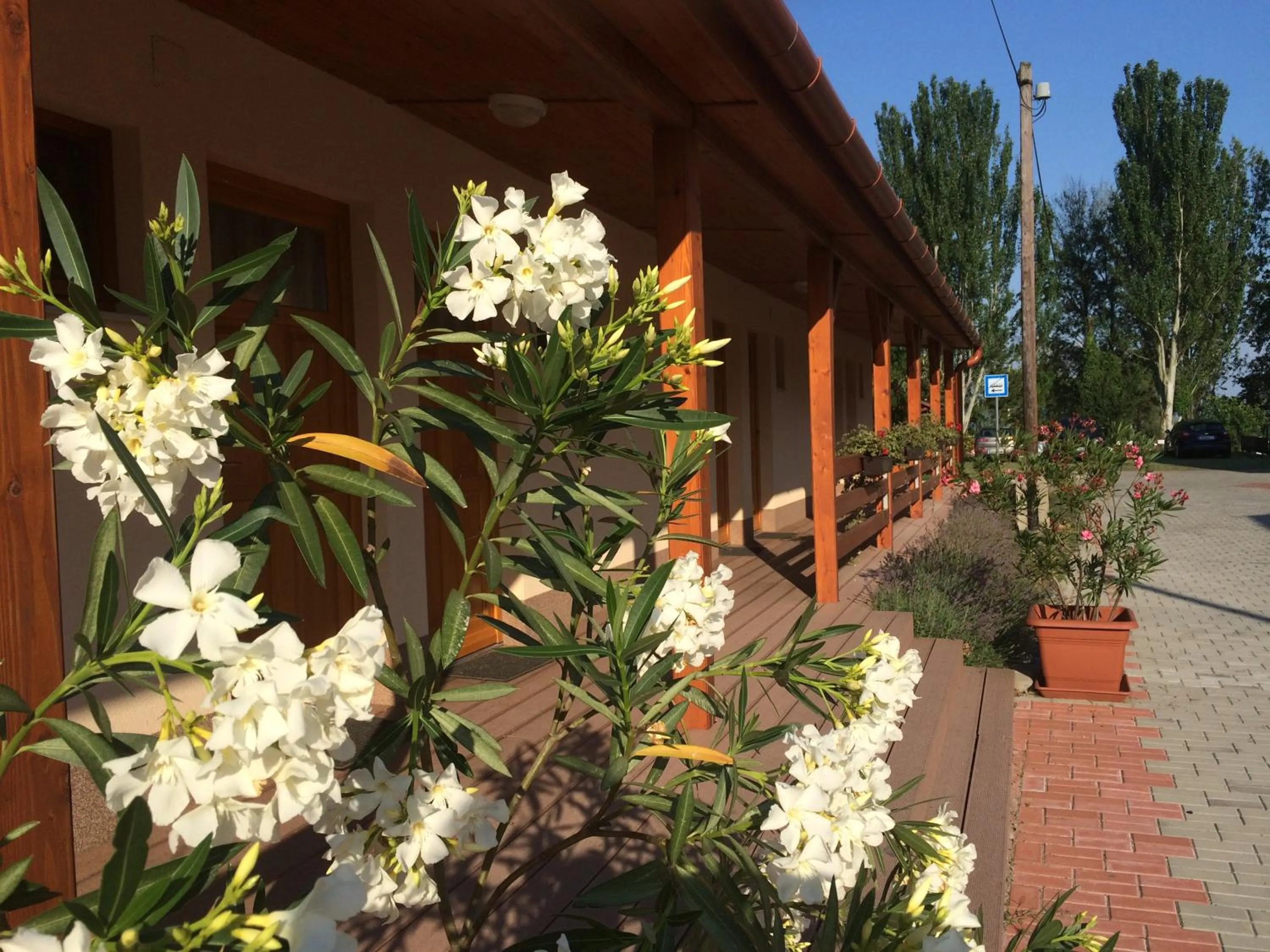 Property building in Hotel Halászkert Badacsony