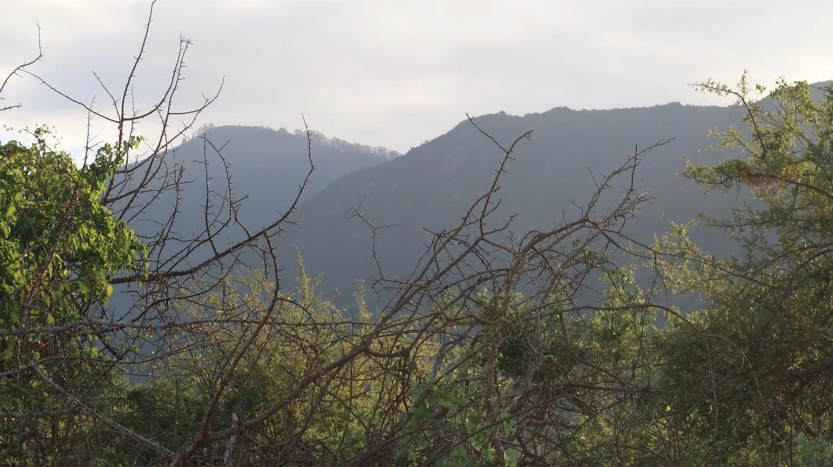 Tausa Tsavo Eco Lodge