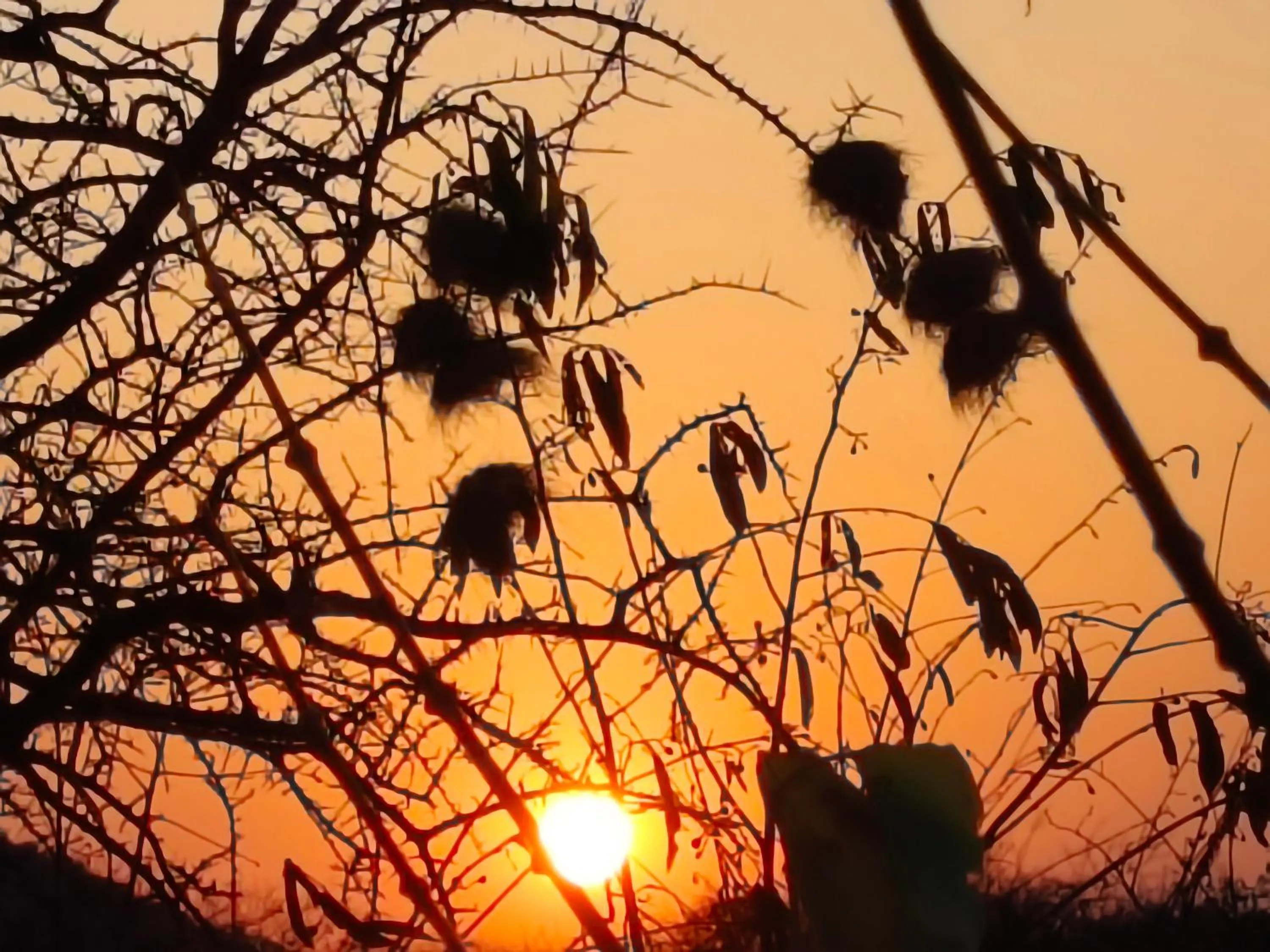 Sunrise in Tausa Tsavo Eco Lodge