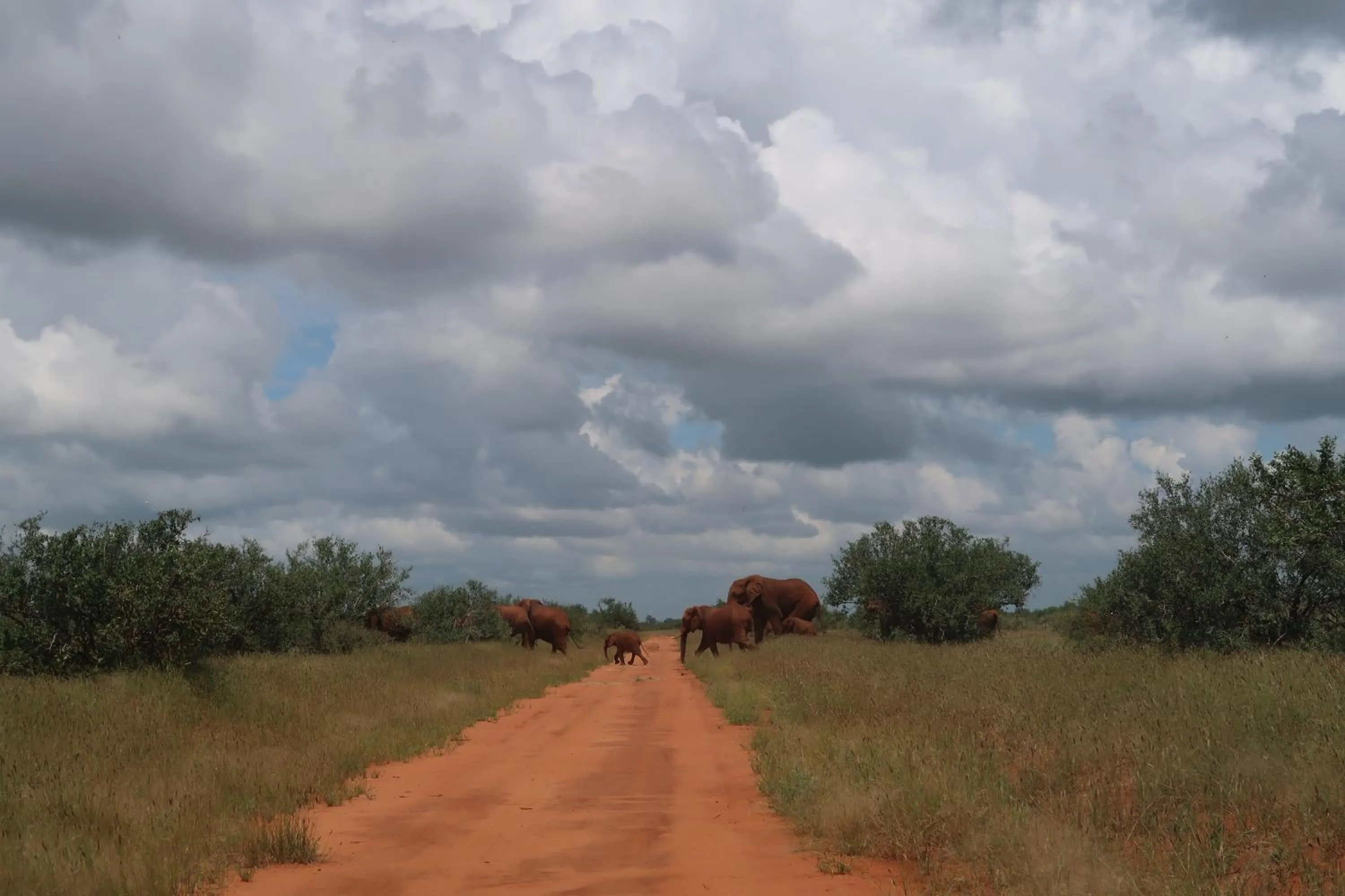 Tausa Tsavo Eco Lodge