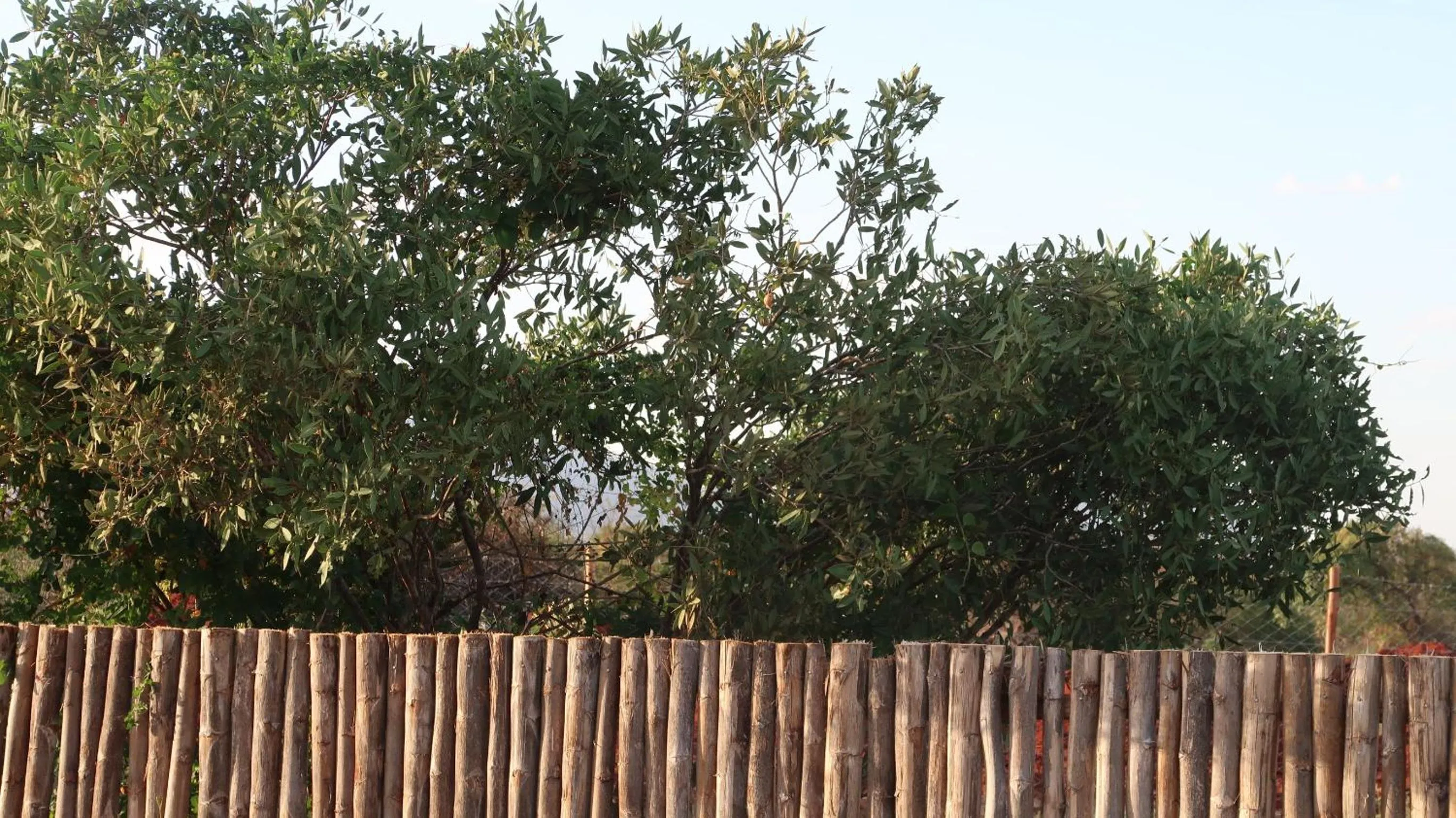 Tausa Tsavo Eco Lodge