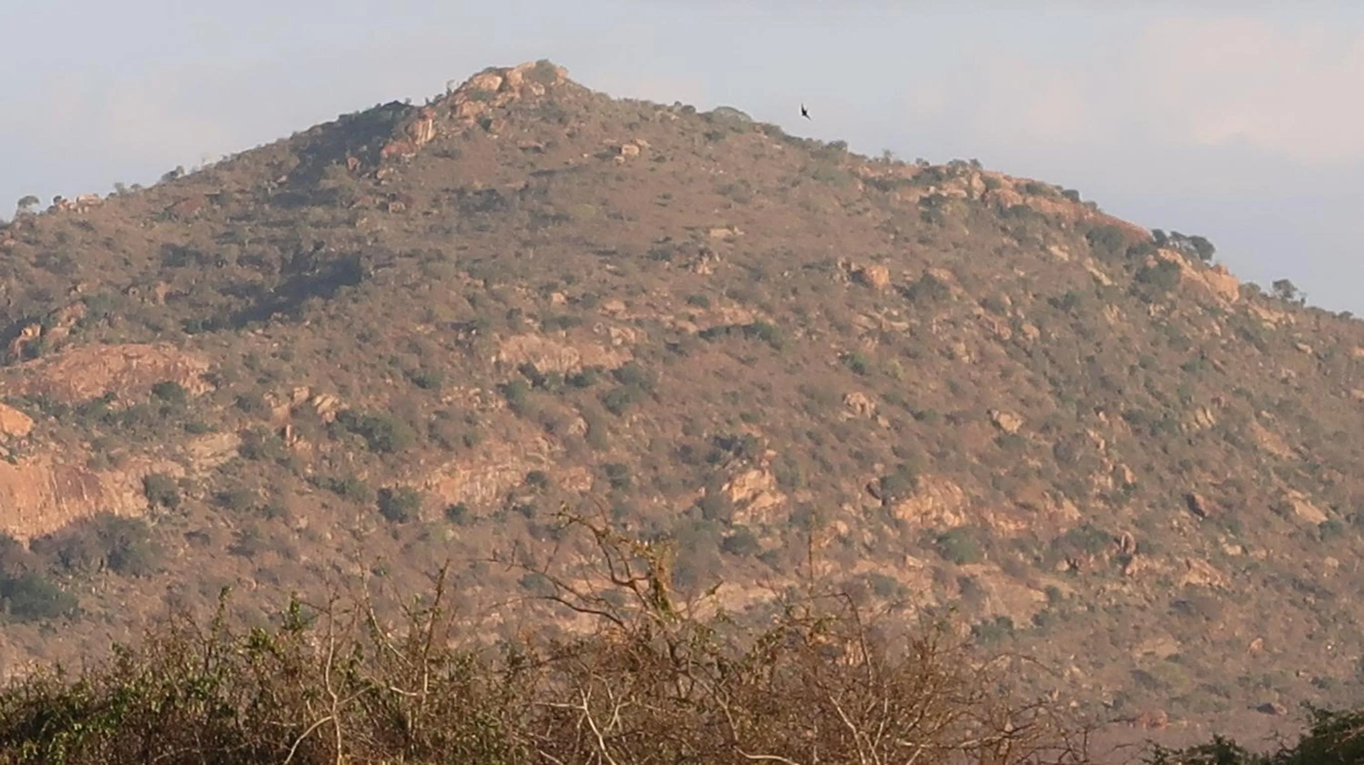 Tausa Tsavo Eco Lodge