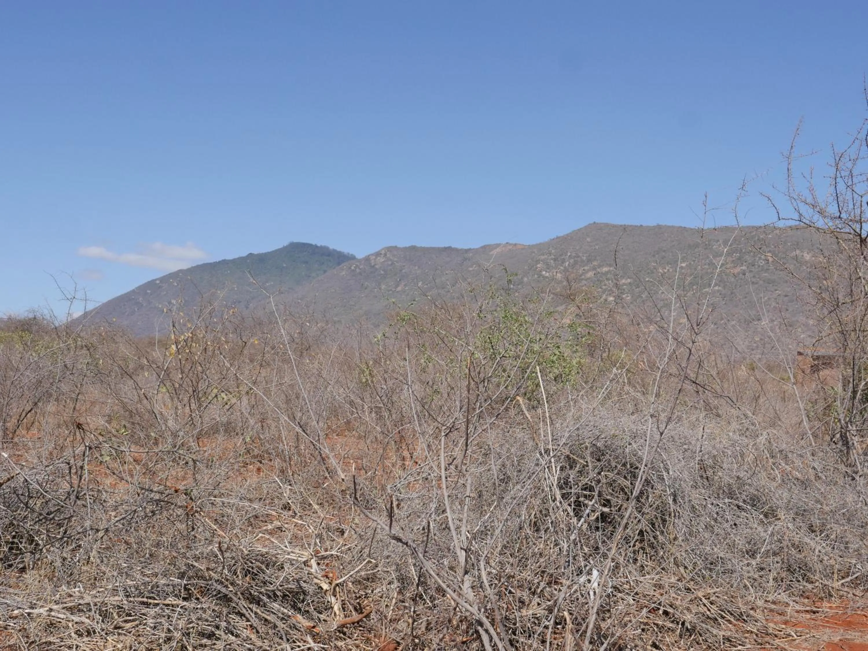 Tausa Tsavo Eco Lodge